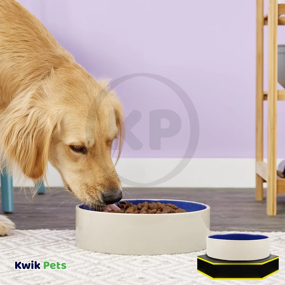 Ethical Pet Standard Crock Dog Bowl Blue 9.5-in - Image 4
