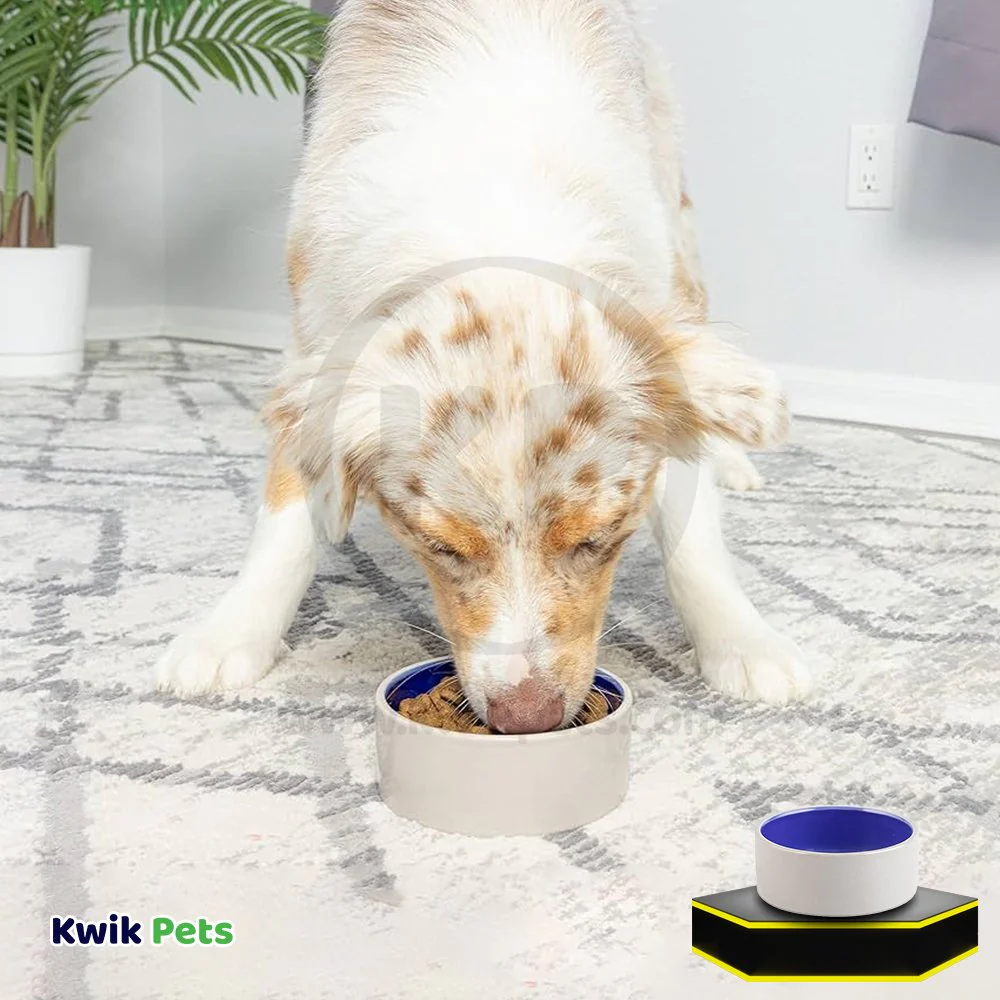 Ethical Pet Stoneware Crock Dog Bowl Blue - Image 4