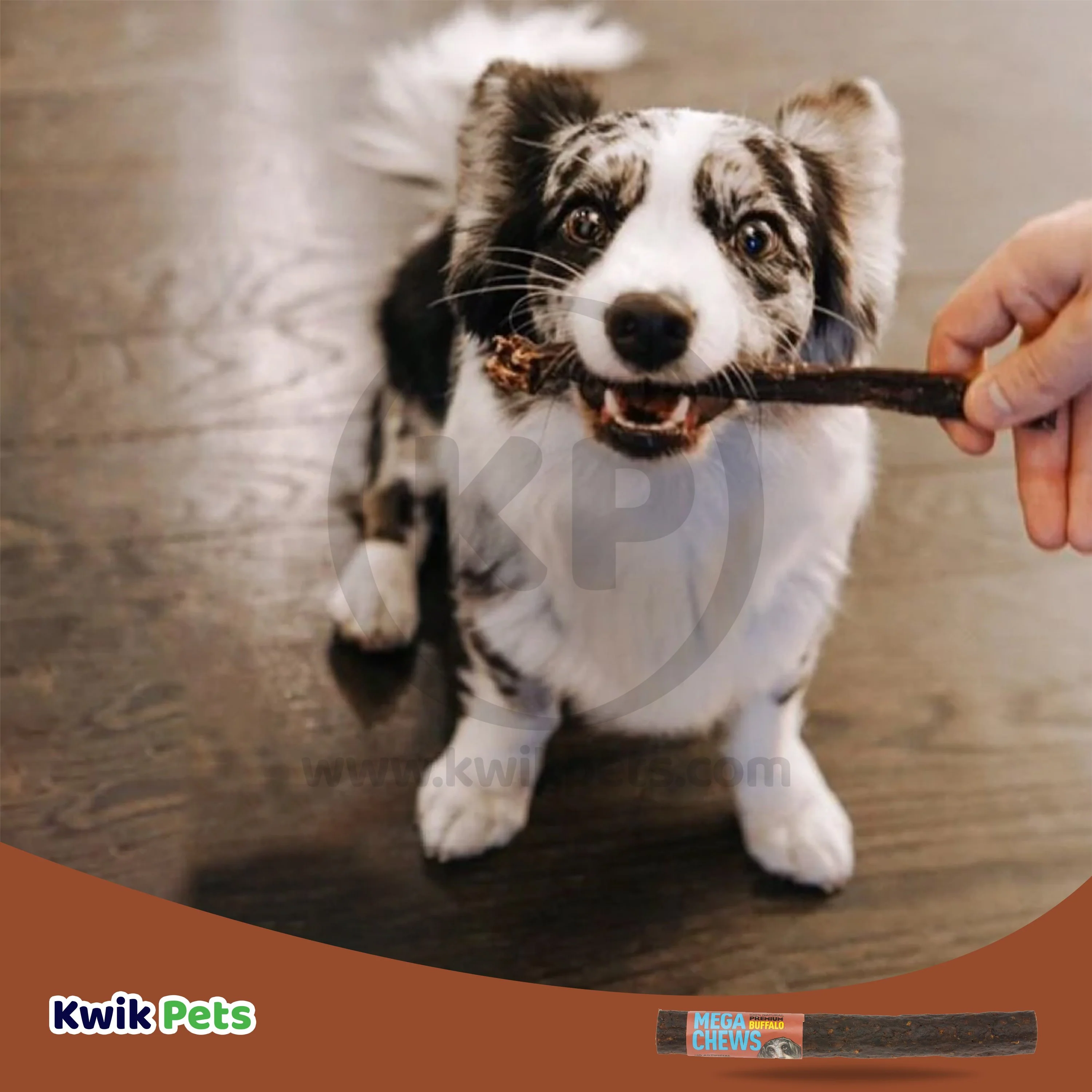 Etta Says! Premium Crunchy Buffalo Chews Dog Treat 7 -in - Image 5