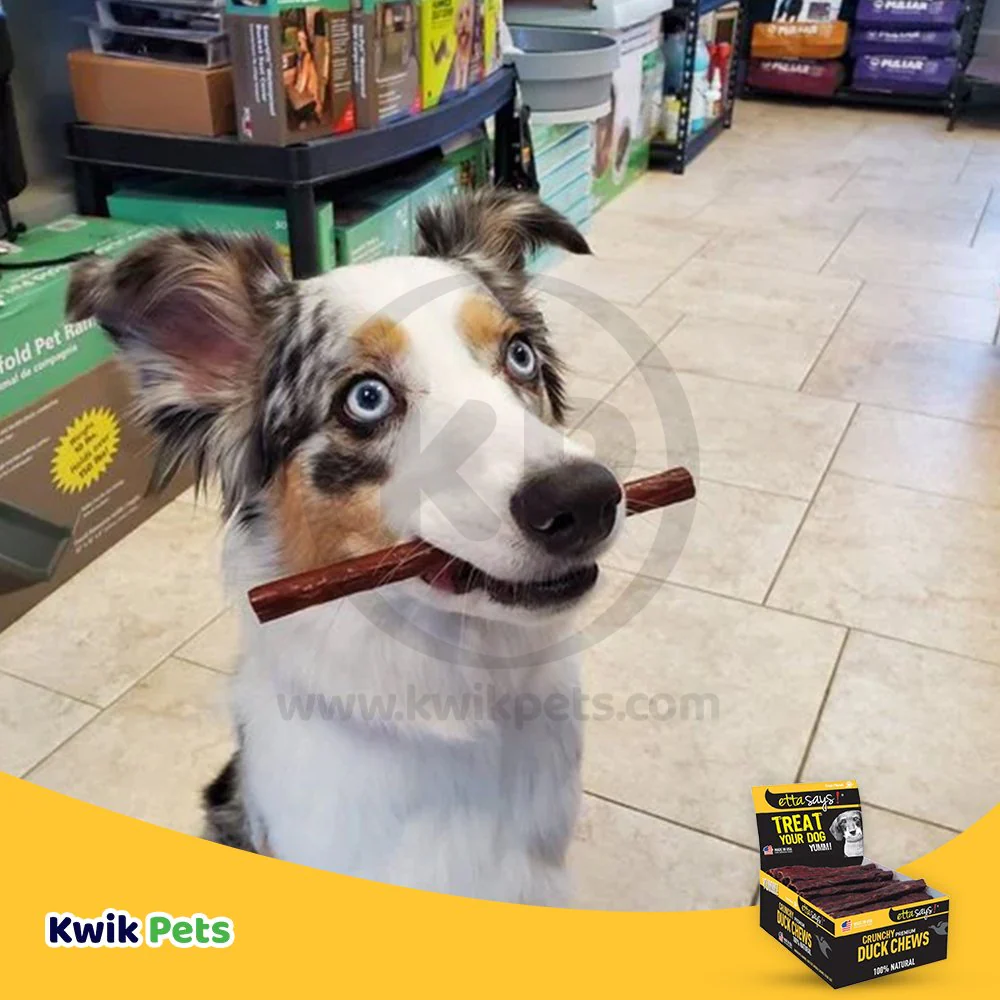 Etta Says! Premium Crunchy Duck Chews Dog Treat 4-in 36 Count - Image 5