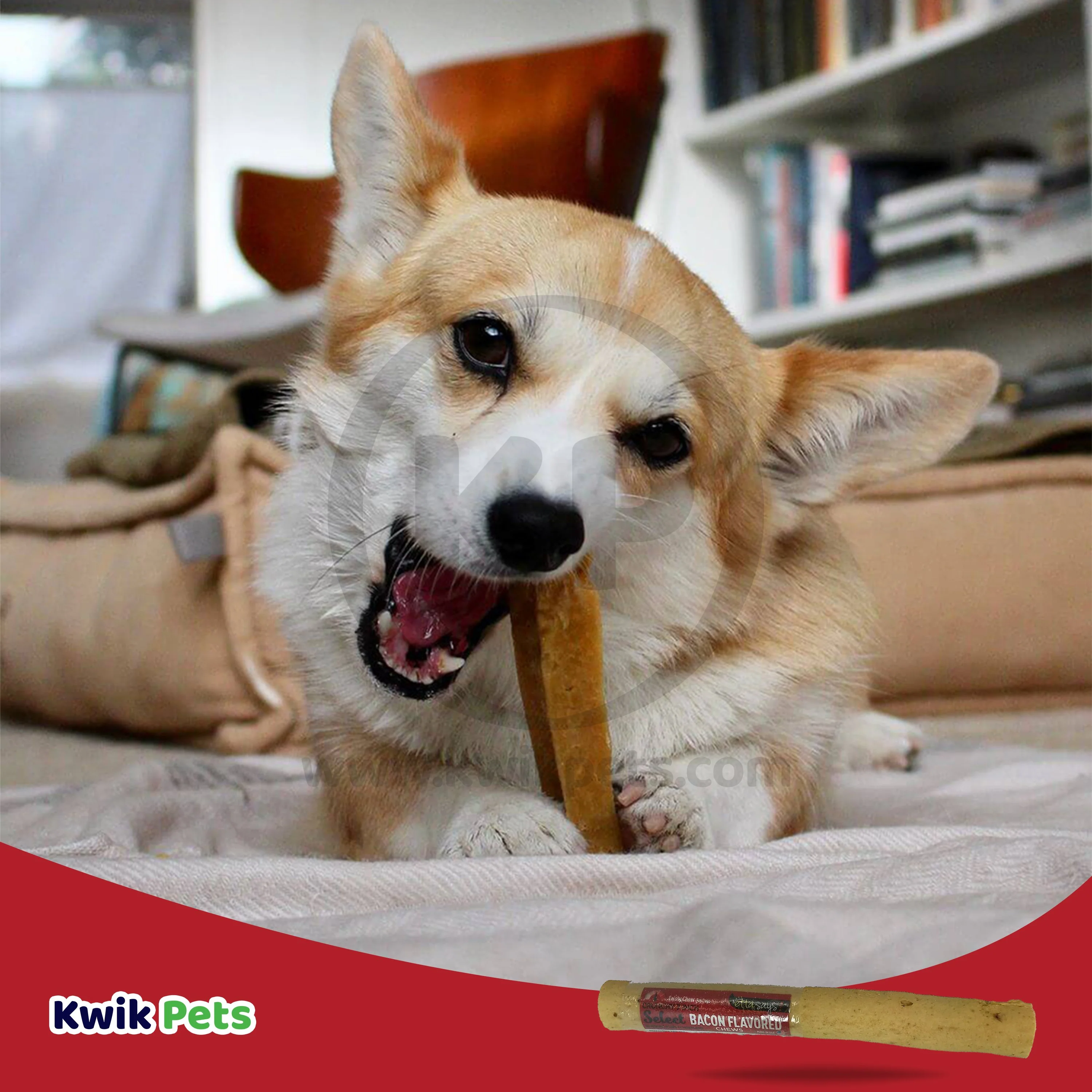 Etta Says! Select Crunchy Bacon Chews Dog Treat 7-in - Image 5