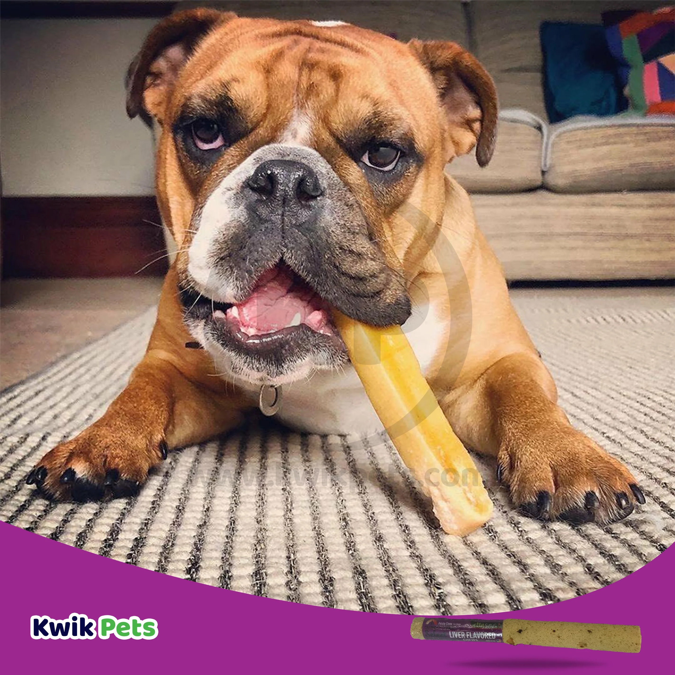 Etta Says! Select Crunchy Liver Chews Dog Treat 7-in - Image 5