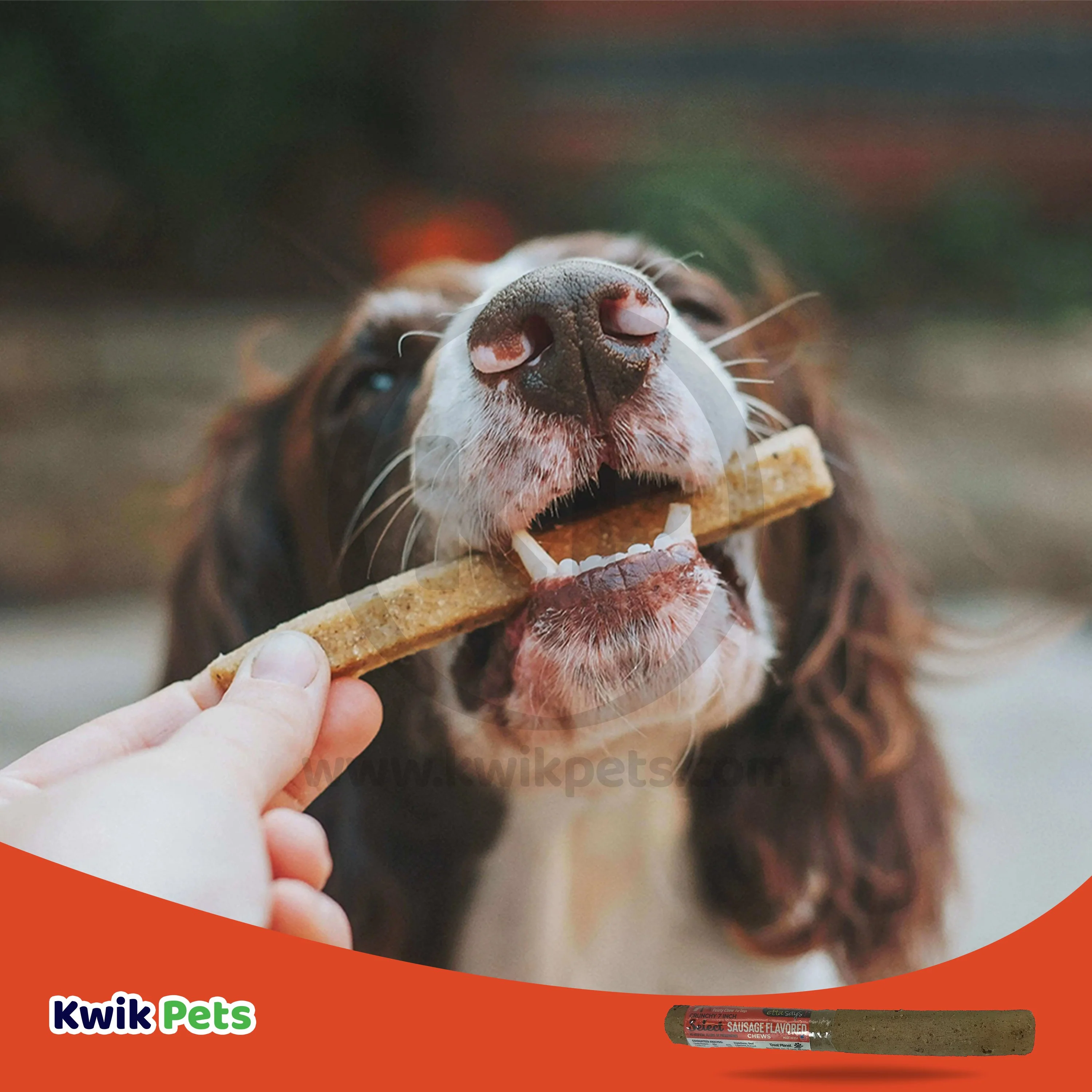 Etta Says! Select Crunchy Sausage Chews Dog Treat 7-in - Image 5