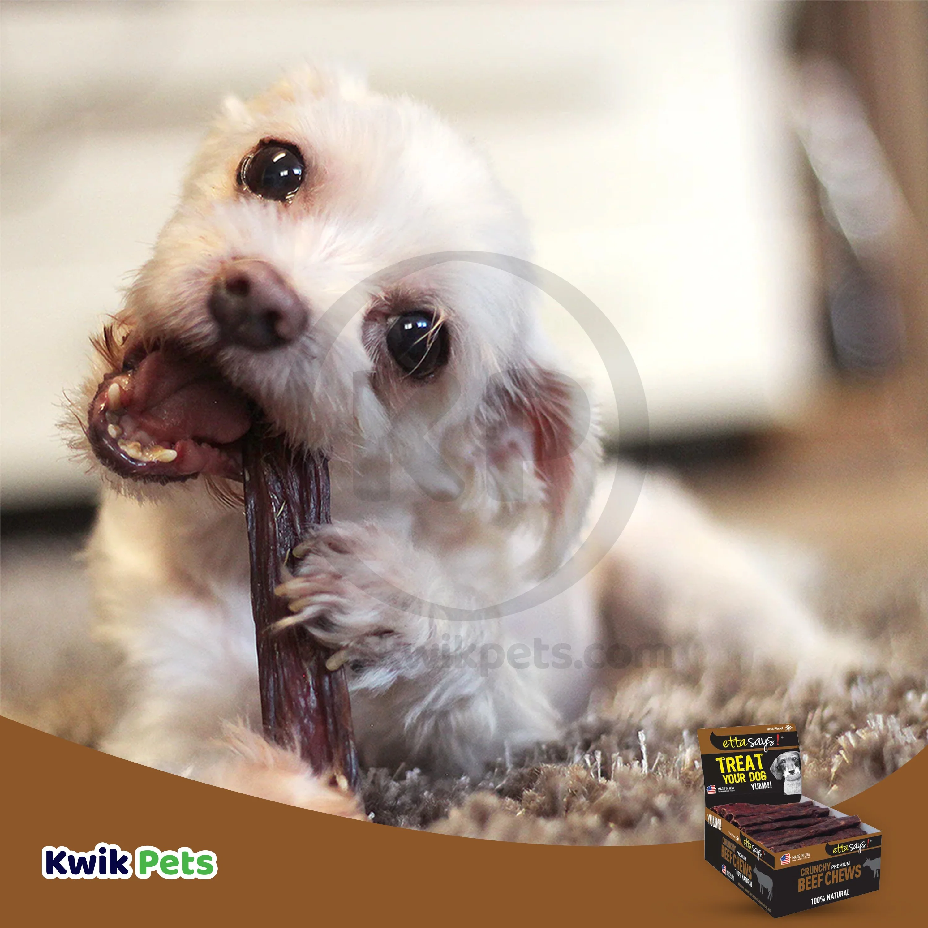Etta Says! Premium Crunchy Beef Chews Dog Treat 4-in 36 Count - Image 5