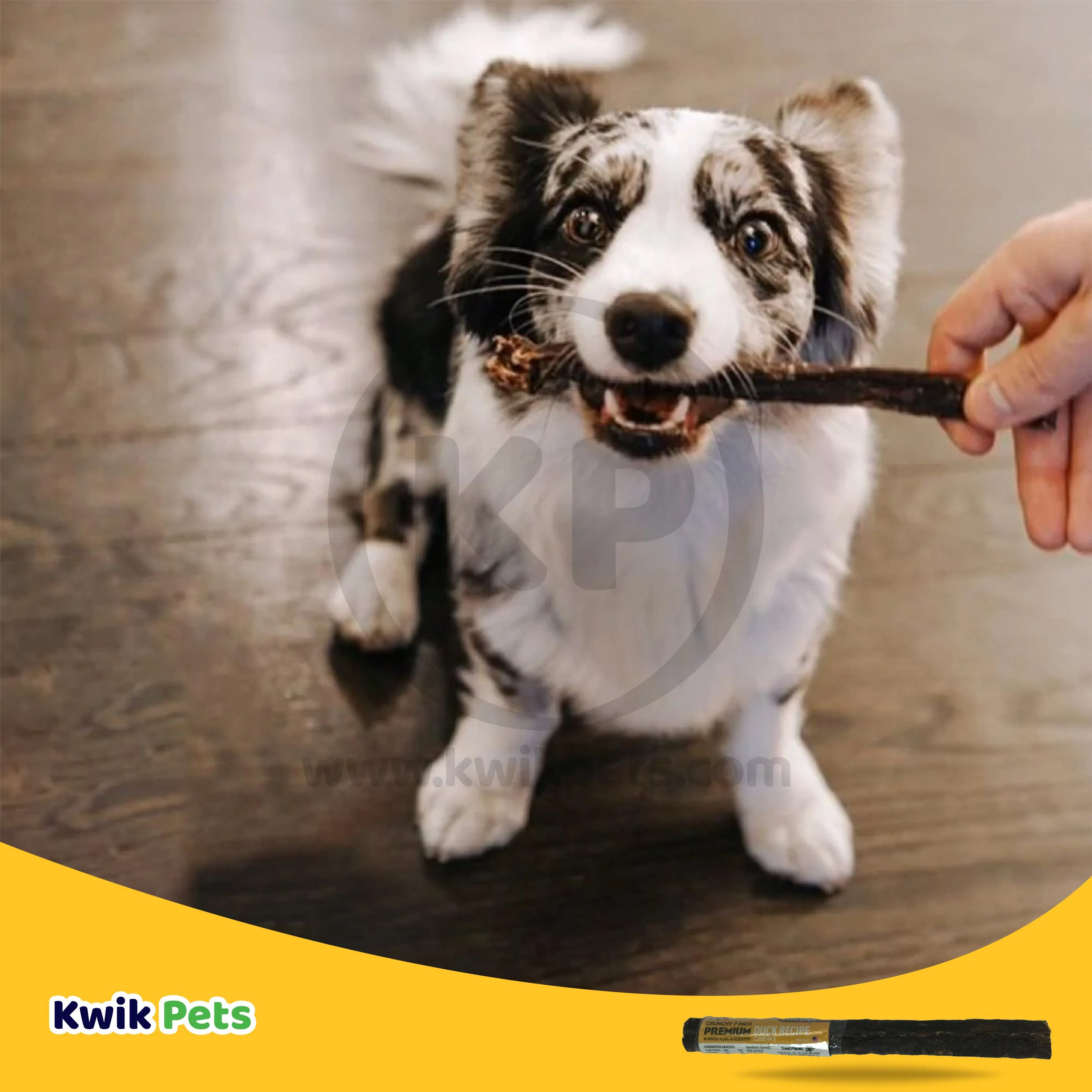 Etta Says! Premium Crunchy Duck Chews Dog Treat 7-in - Image 5