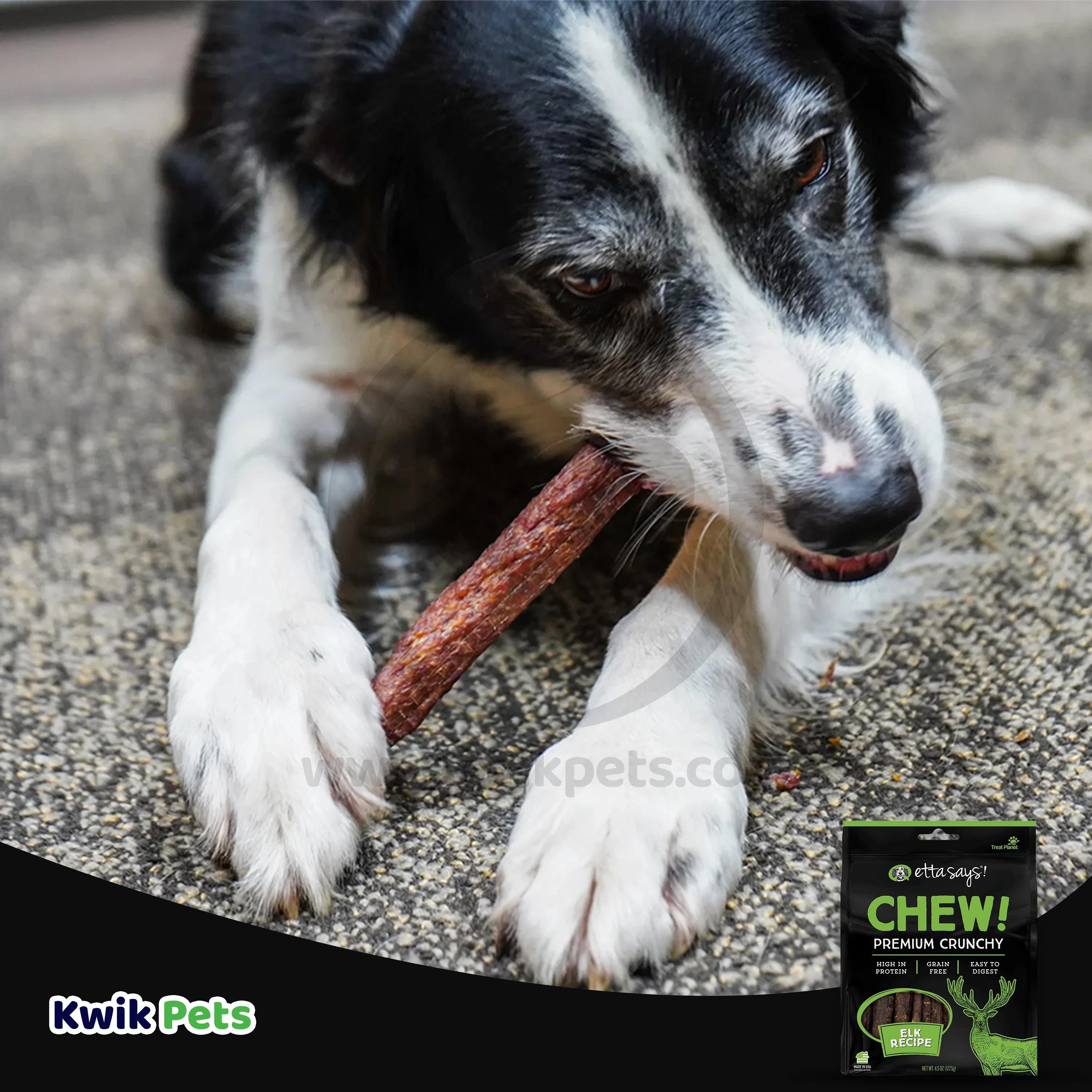 Etta Says! Chew! Premium Crunchy Elk Dog Treats 4.5-oz - Image 5