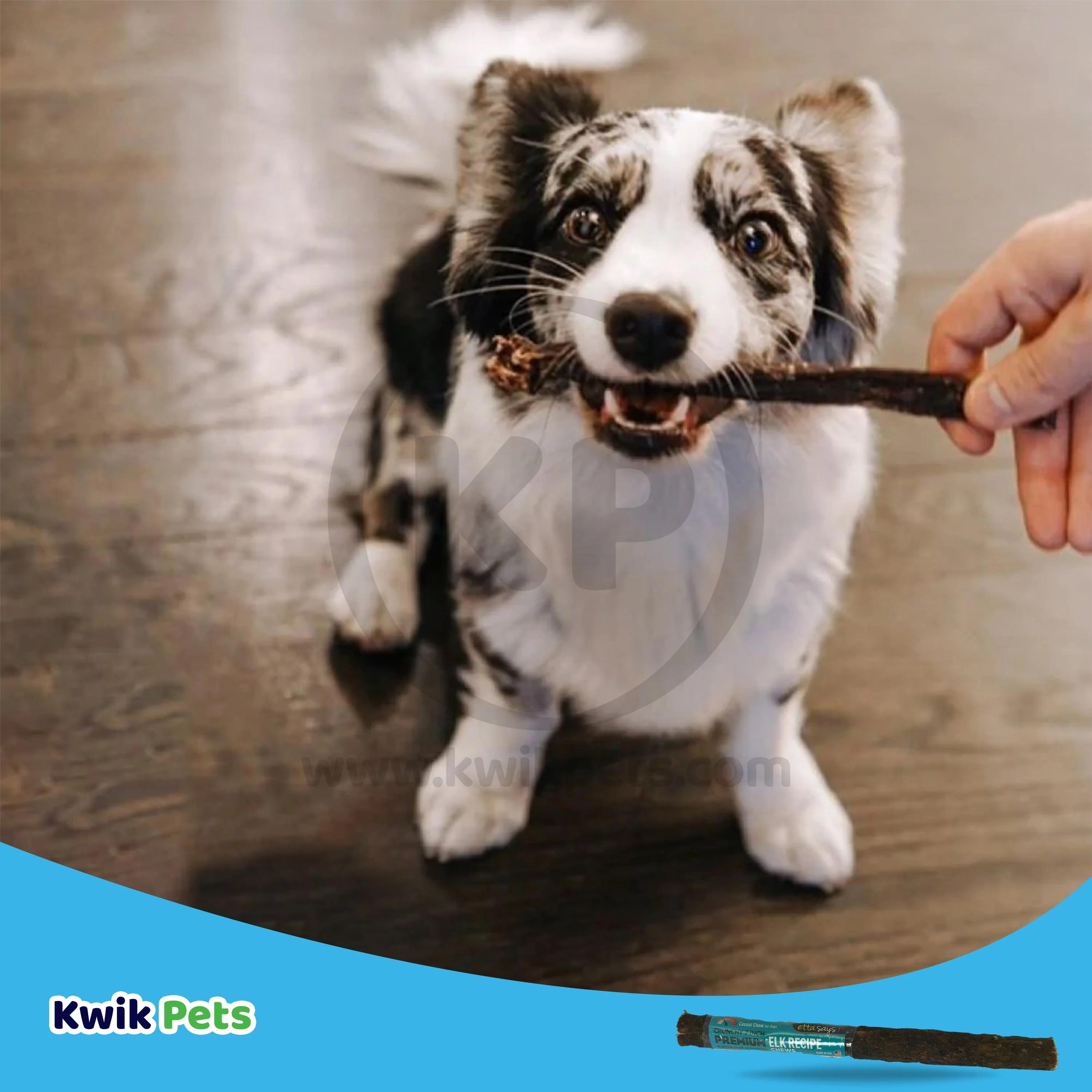 Etta Says! Premium Crunchy Rabbit Chews Dog Treat 7-in - Image 5
