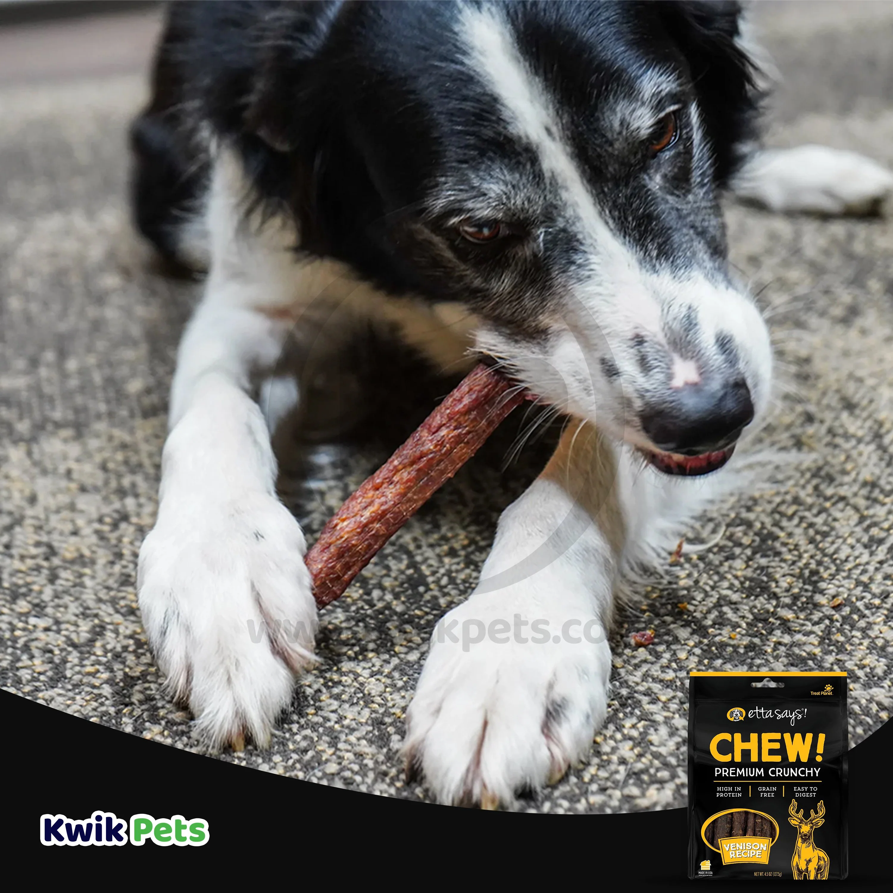 Etta Says! Chew! Premium Crunchy Venison Dog Treats 4.5-oz - Image 5