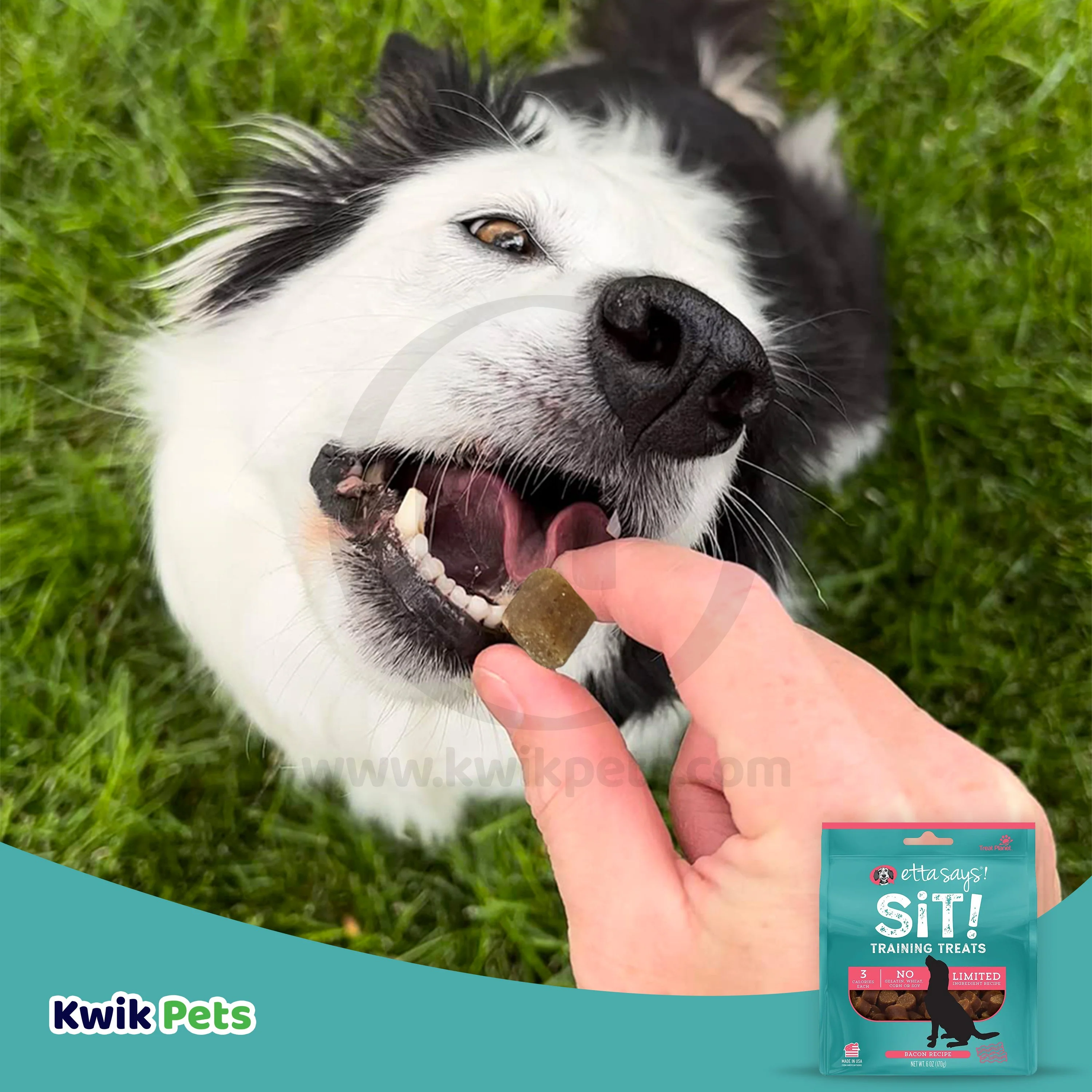 Etta Says! Sit! Dog Training Treats Bacon Recipe 6-oz - Image 5