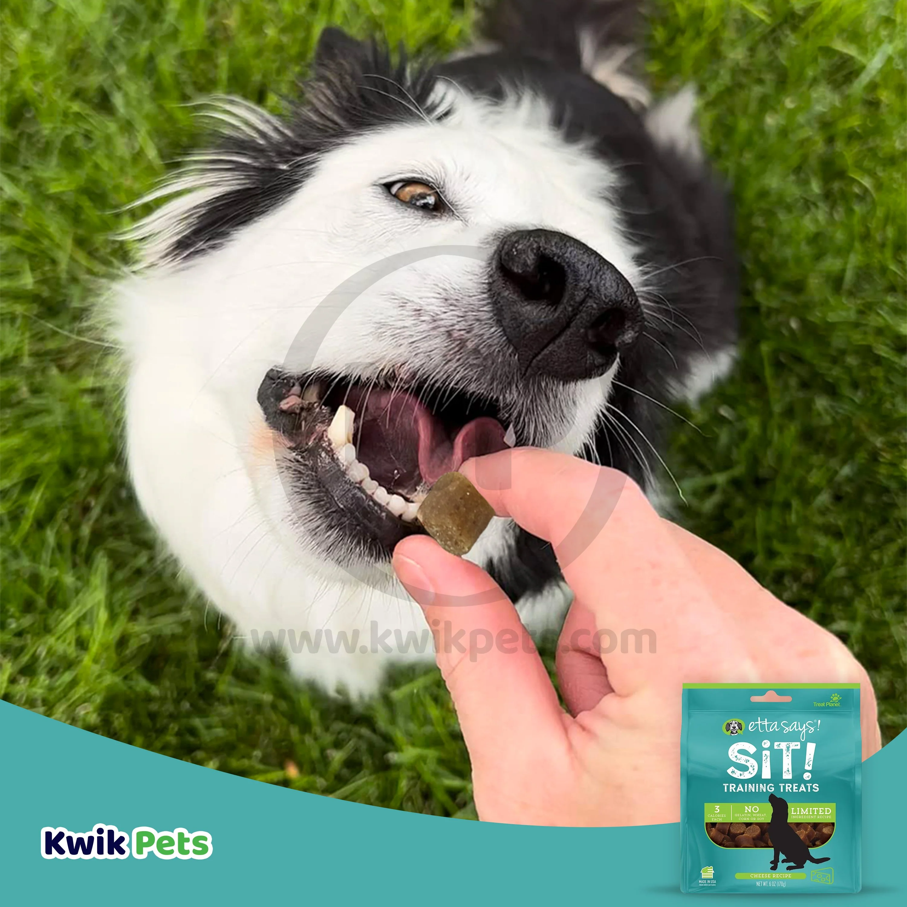Etta Says! Sit! Dog Training Treats Cheese Recipe 6-oz - Image 5