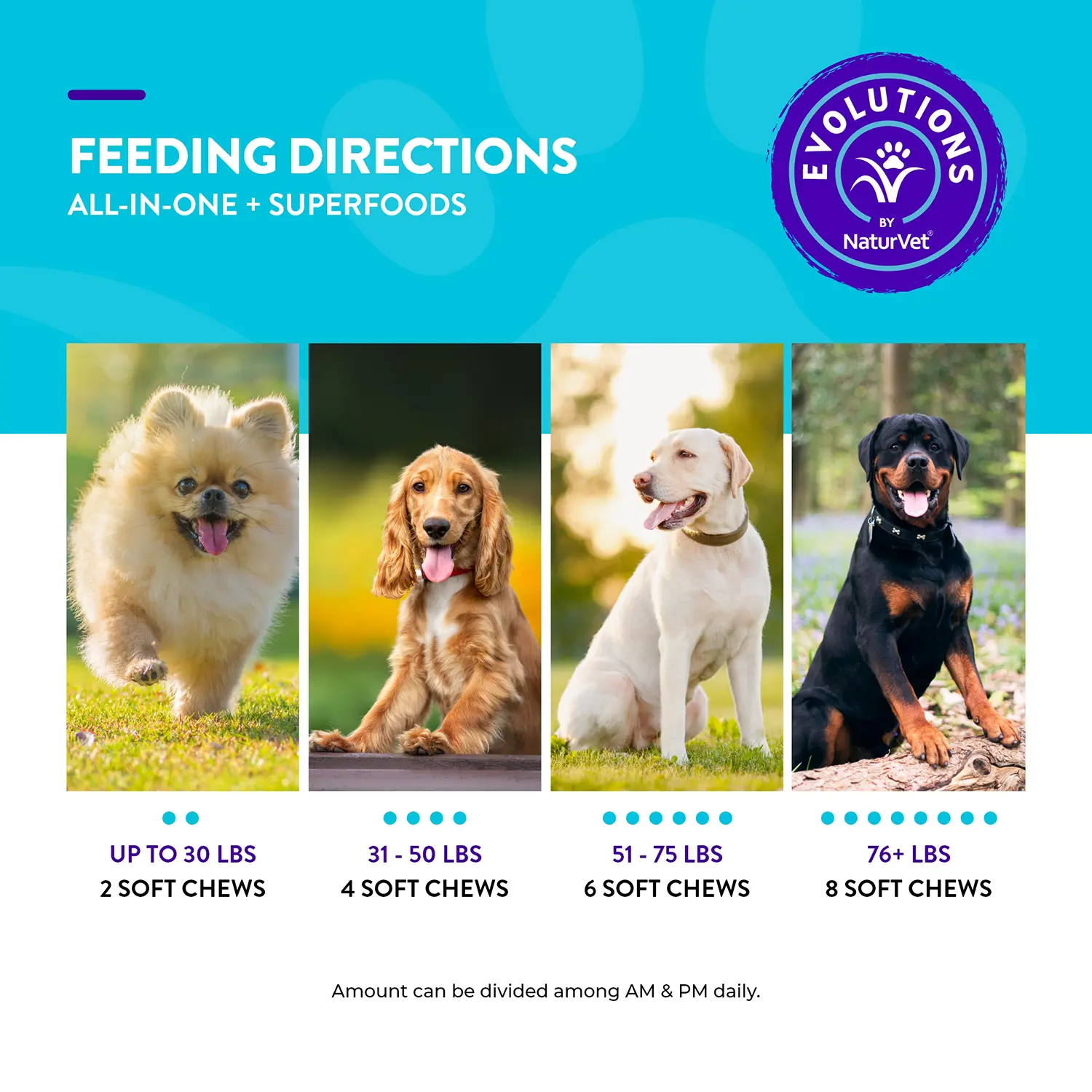 Evolutions by NaturVet All-in-One Plus Superfoods Soft Chews for Dogs 90 Count 7.9-oz - Image 8