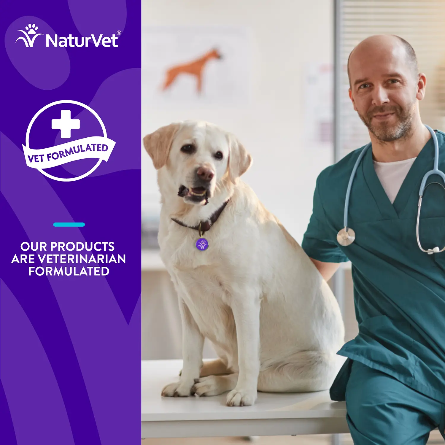 Evolutions by NaturVet Probiotic Plus Superfoods Digestive Support Soft Chews for Dogs 90 Count 6.9-oz - Image 5