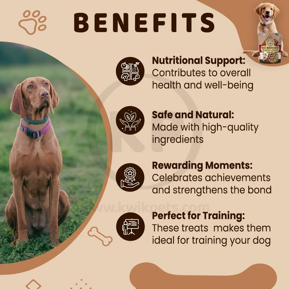 Exclusively Pet Best Buddy Bits Training Dog Treats Beef & Liver 5.5-oz - Image 4