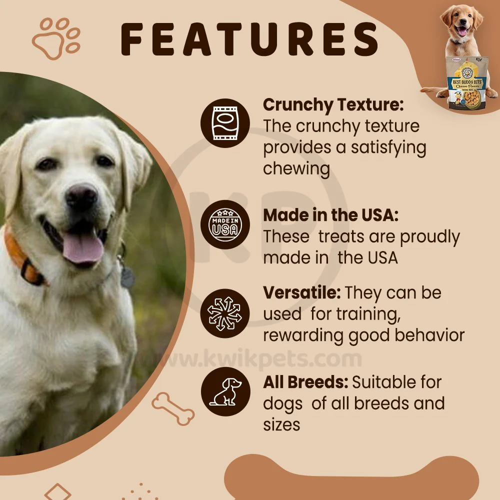 Exclusively Pet Best Buddy Bits Training Dog Treats Cheese 5.5-oz - Image 3