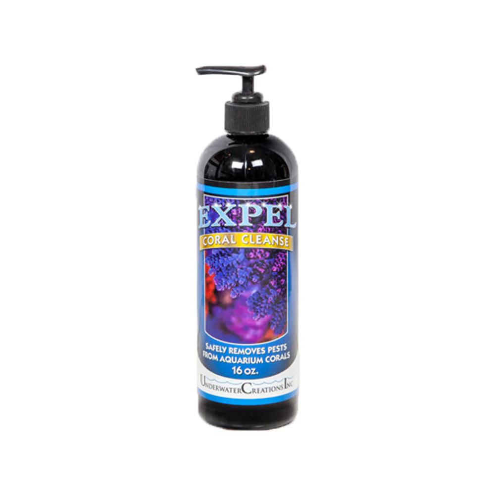 Expel Coral Cleanse Coral Pest Removal Solution 16-oz