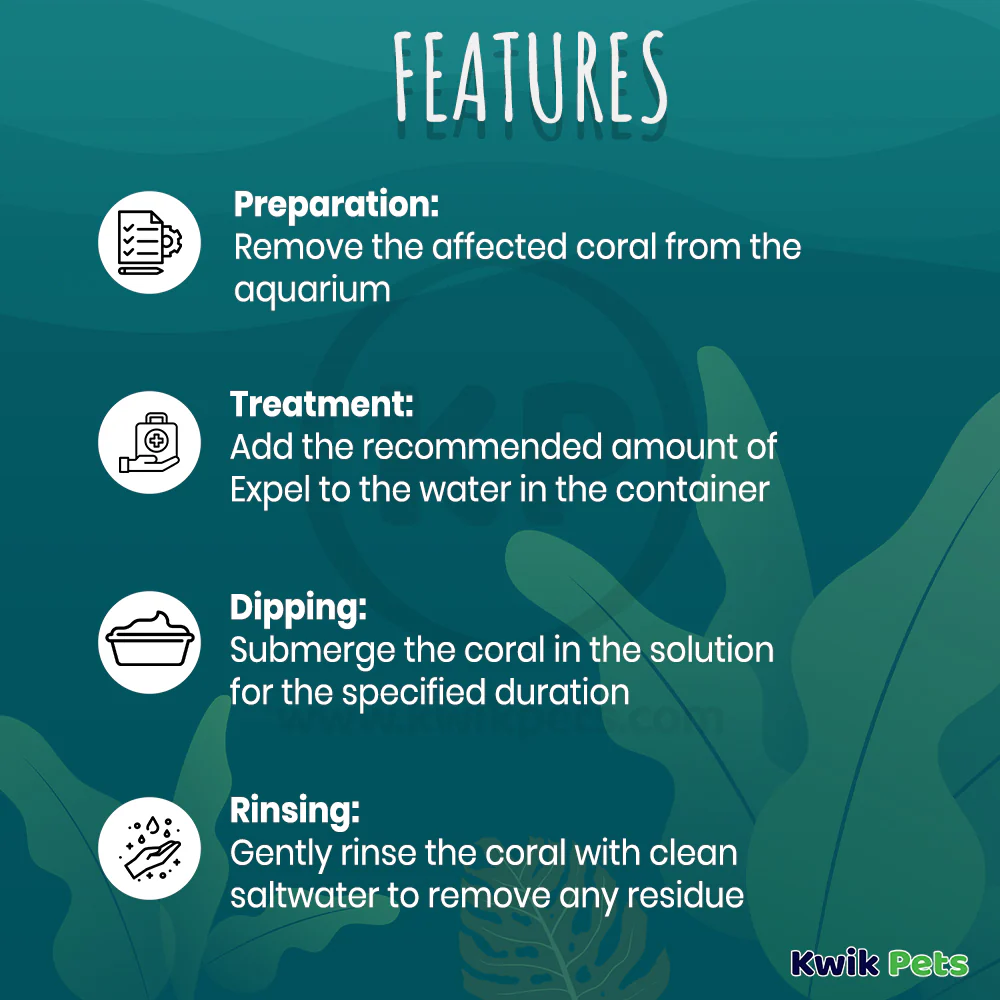 Expel Coral Cleanse Coral Pest Removal Solution 16-oz - Image 2