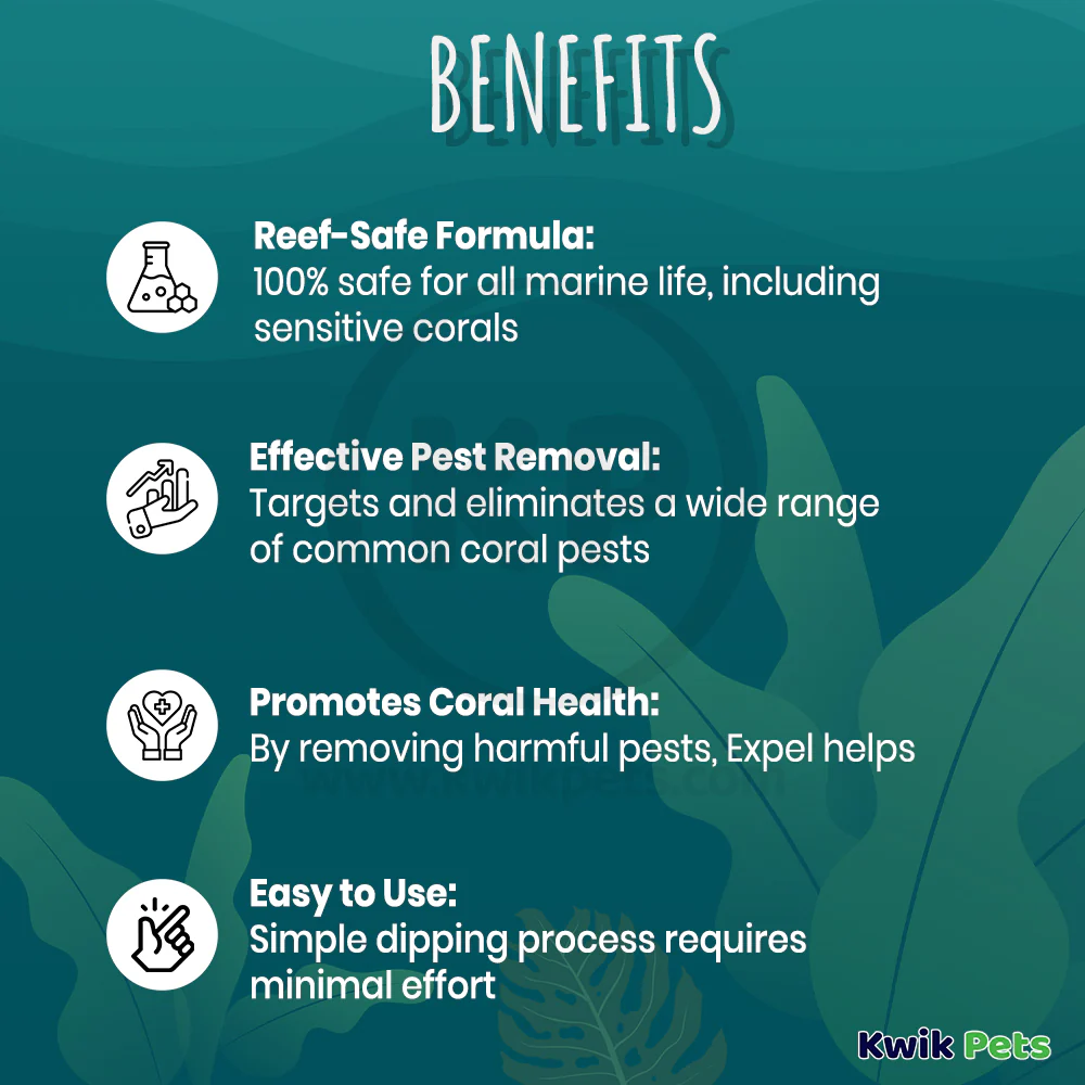 Expel Coral Cleanse Coral Pest Removal Solution 16-oz - Image 3
