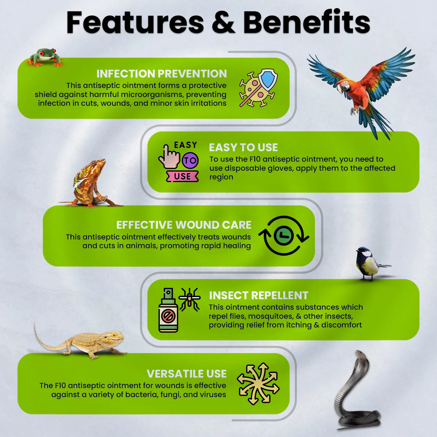 F10 Antiseptic Barrier Ointment with Insecticide for Reptiles, Birds, Small Animals & Exotic Animals 500g - Image 2