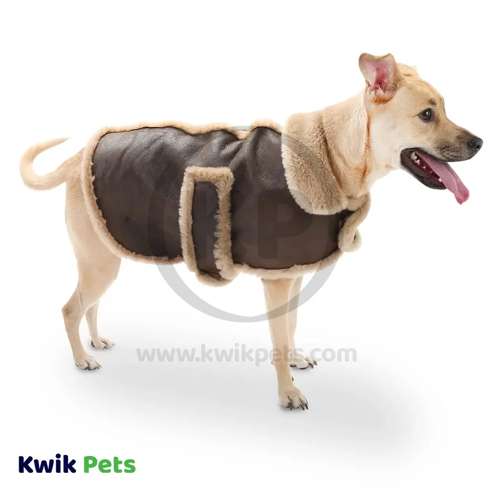 Fashion Pet Bomber Jacket Brown Small - Image 3