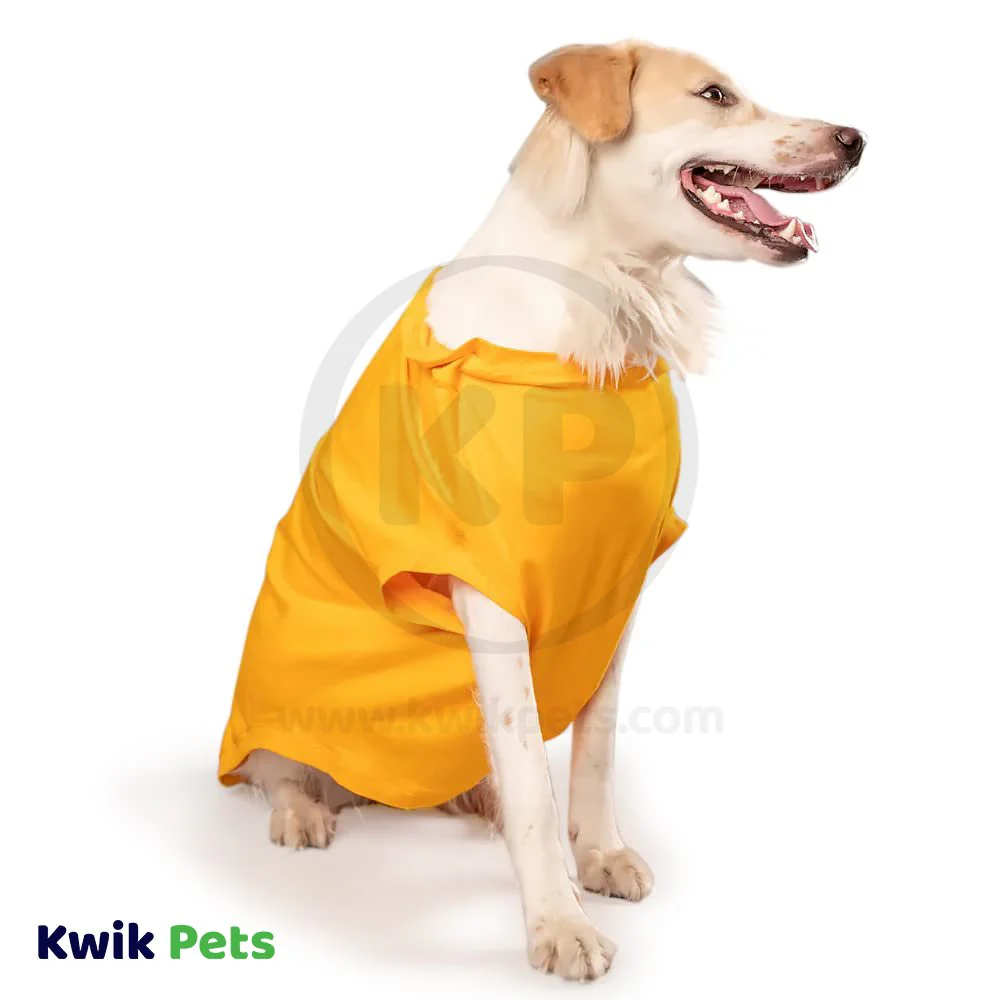 Fashion Pet Cosmo Woof Tee Yellow Small - Image 4