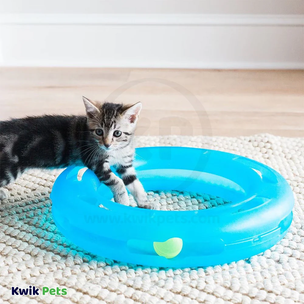 Fat Cat Crazy Circle Catnip Toy Blue Small - Image 5