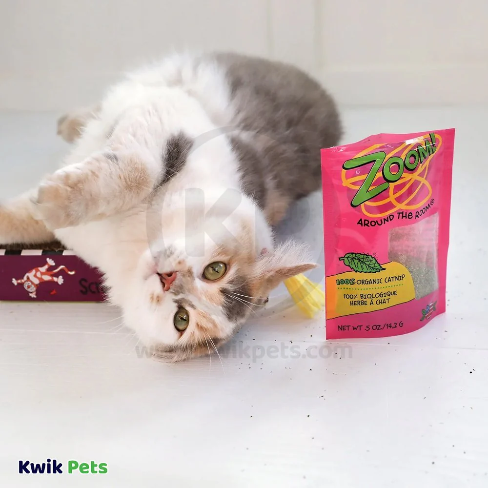 Fat Cat Zoom Around The Room High-Test Organic Catnip 0.5-oz - Image 5