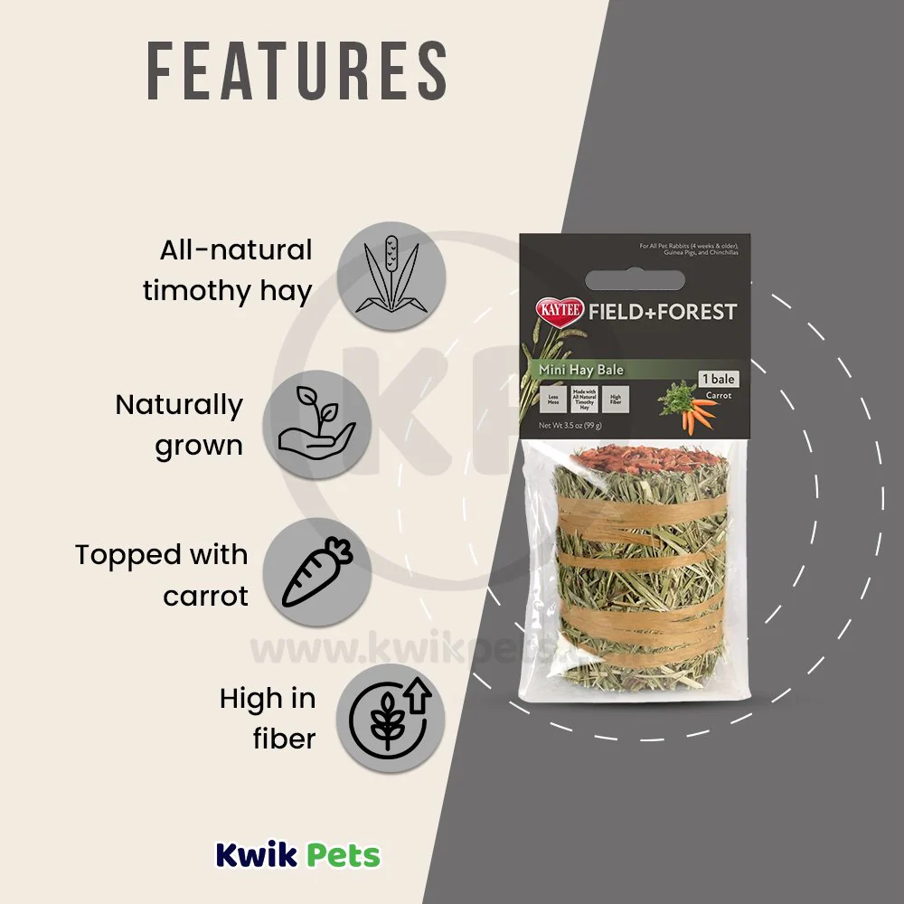 Kaytee Field+Forest Mini Hay Bale Apple for Rabbits Guinea Pigs & Chinchillas 3.5-oz - Image 3