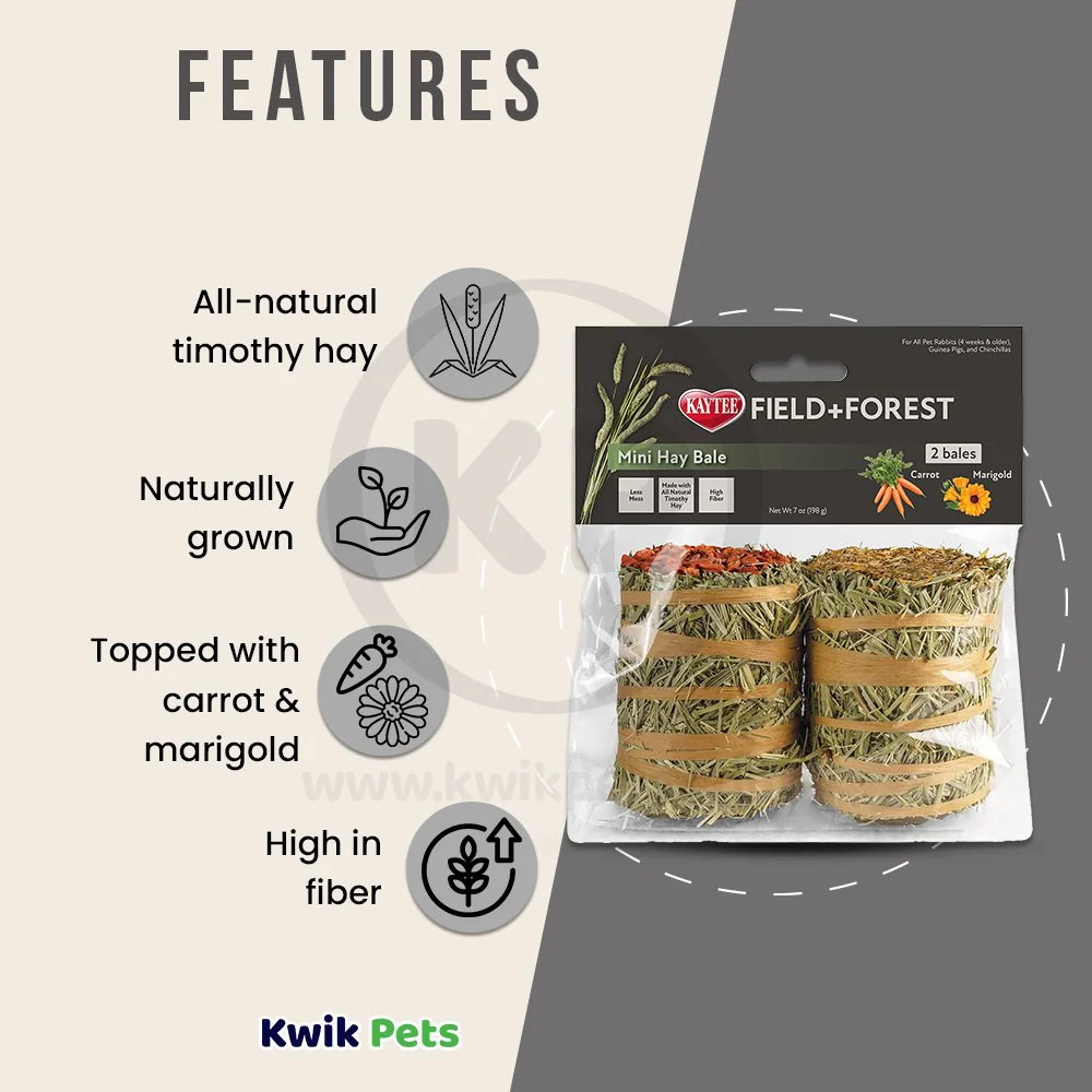 Kaytee Field+Forest Mini Hay Bales Carrot & Marigold for Rabbits Guinea Pigs & Chinchillas 2 Count 7-oz - Image 3