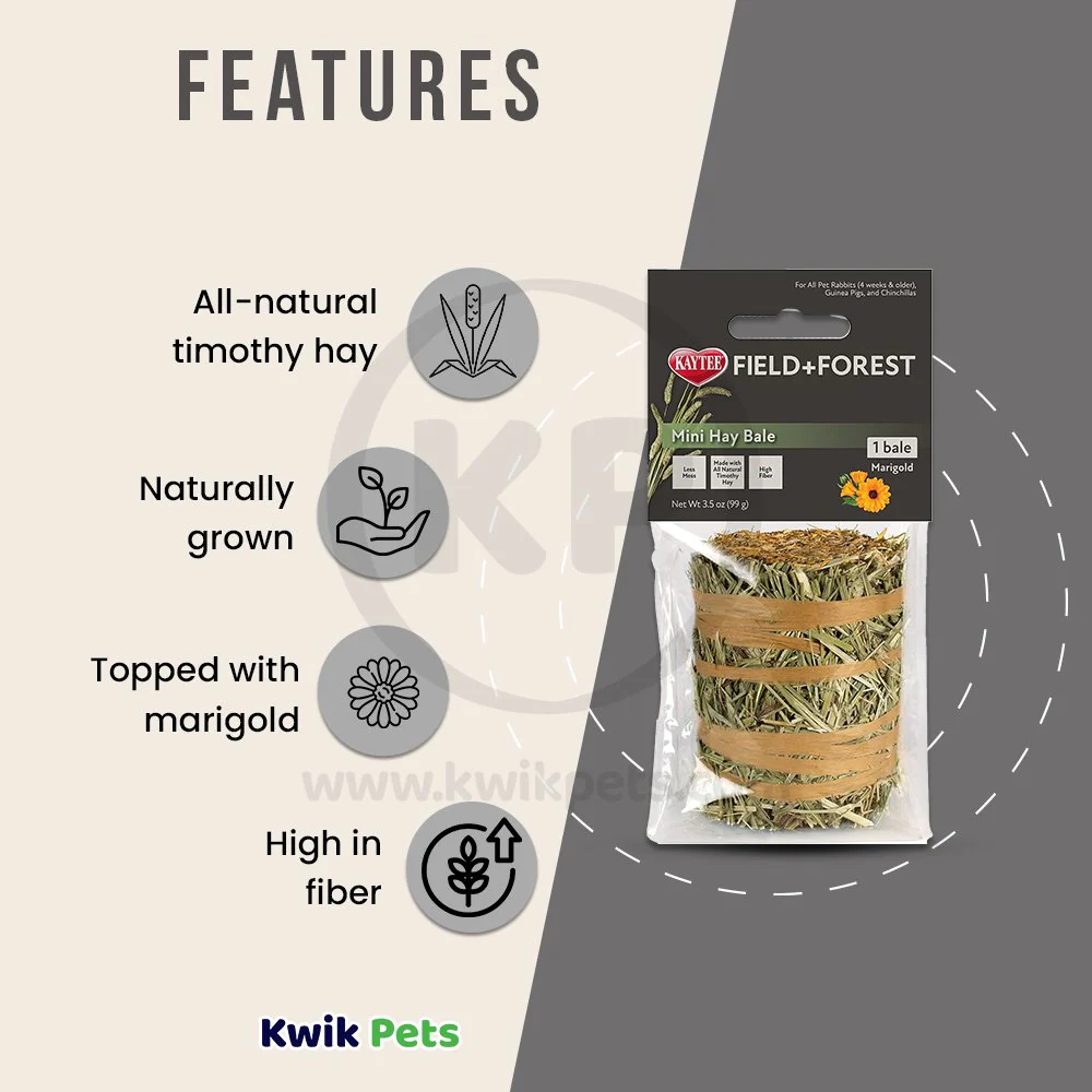 Kaytee Field+Forest Mini Hay Bale Marigold for Rabbits Guinea Pigs & Chinchillas 3.5-oz - Image 3