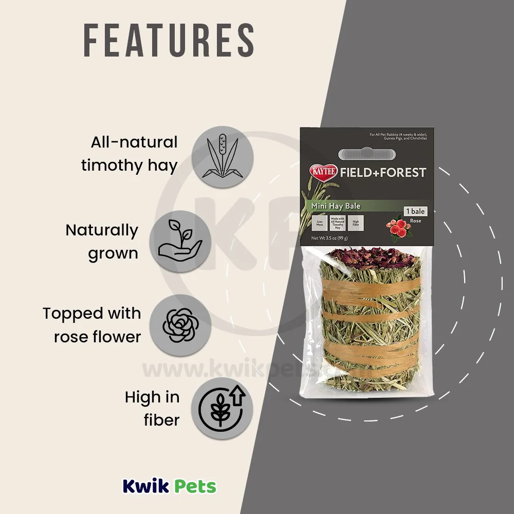 Kaytee Field+Forest Mini Hay Bale Rose for Rabbits Guinea Pigs & Chinchillas 3.5-oz - Image 3