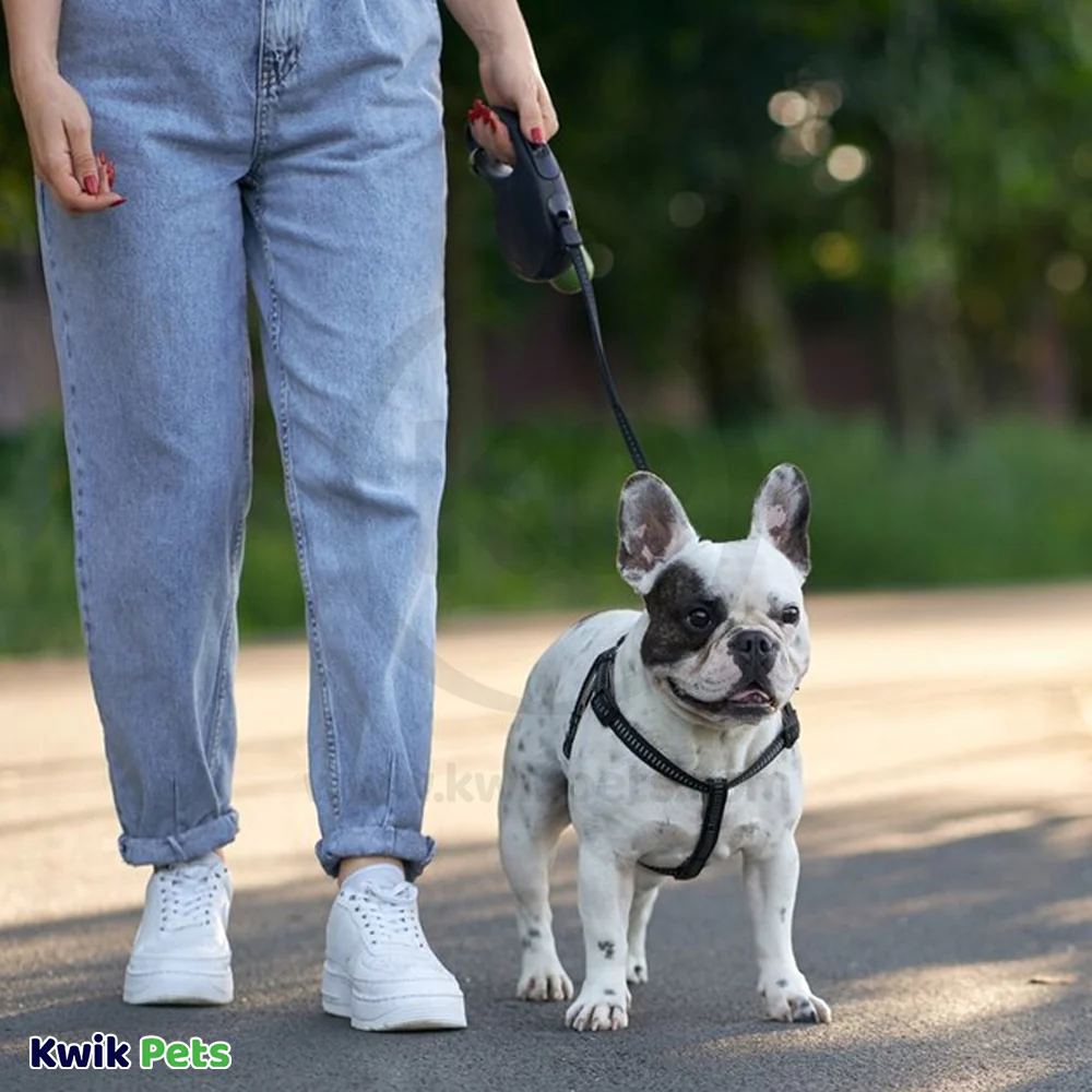 Flexi Classic Nylon Cord Dog Leash Black Large 16-ft Up To 132-lb - Image 7
