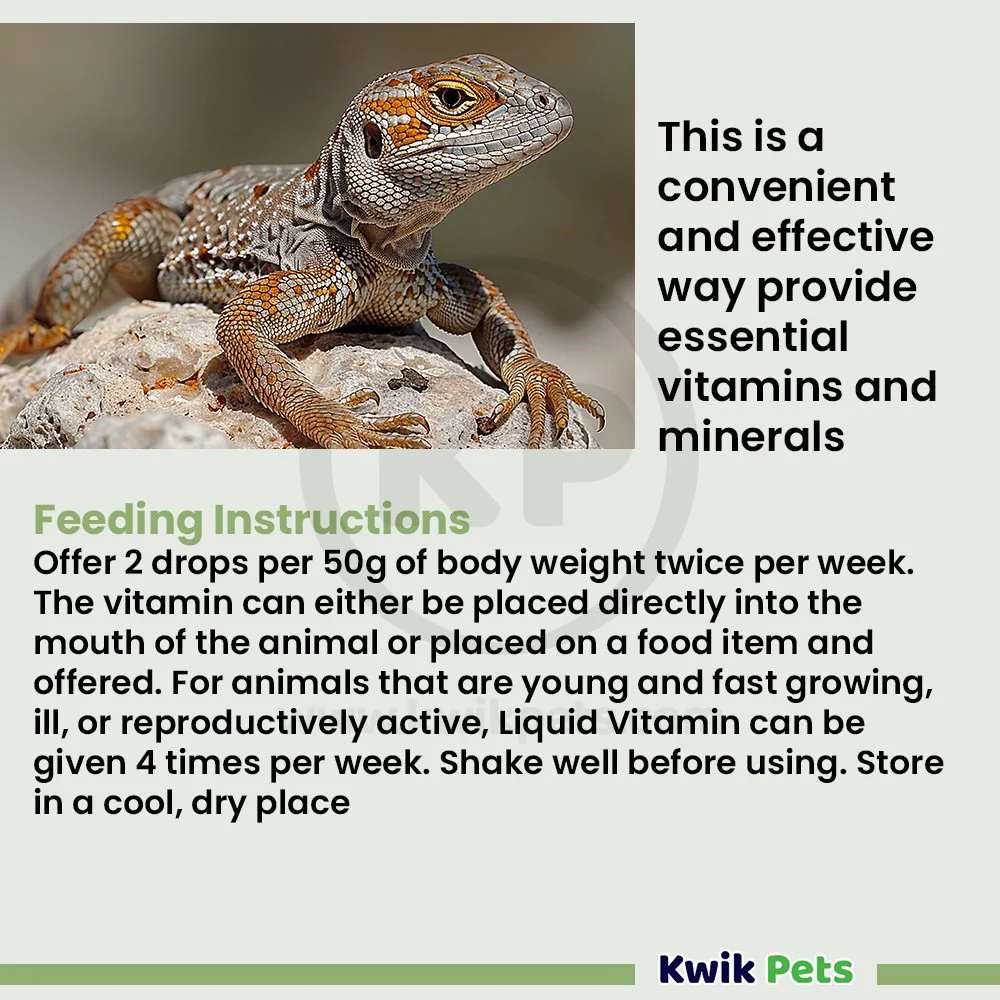 Fluker's Liquid Vitamin Supplement for Reptiles 1.7-oz - Image 6