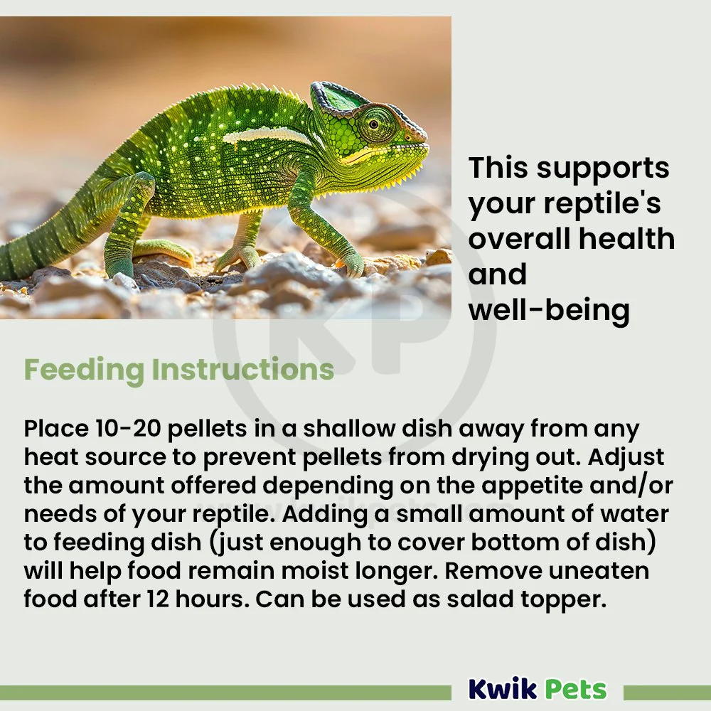 Fluker's Crafted Cuisine Adult Bearded Dragon Diet Dry Food 6.75-oz - Image 5