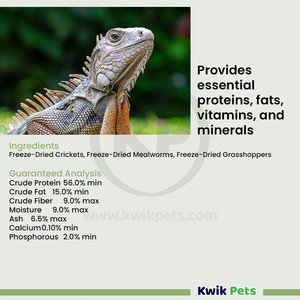 Fluker's Freeze-Dried Medley Treat for Bearded Dragon 1.8-oz - Image 5