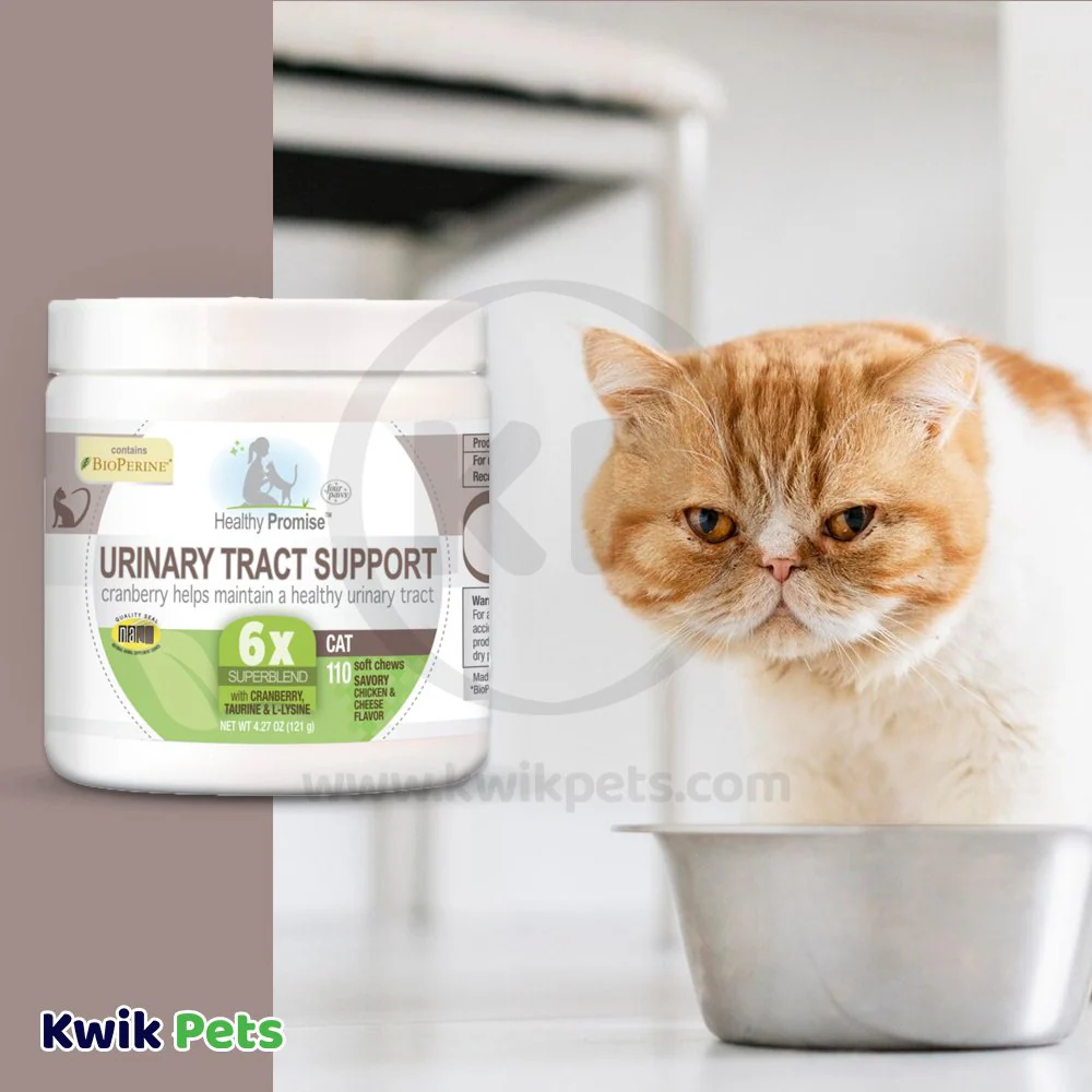 Four Paws Healthy Promise Cat Urinary Tract Supplement Soft Chews Savory Chicken & Cheese 110 Count 4.27-oz - Image 5
