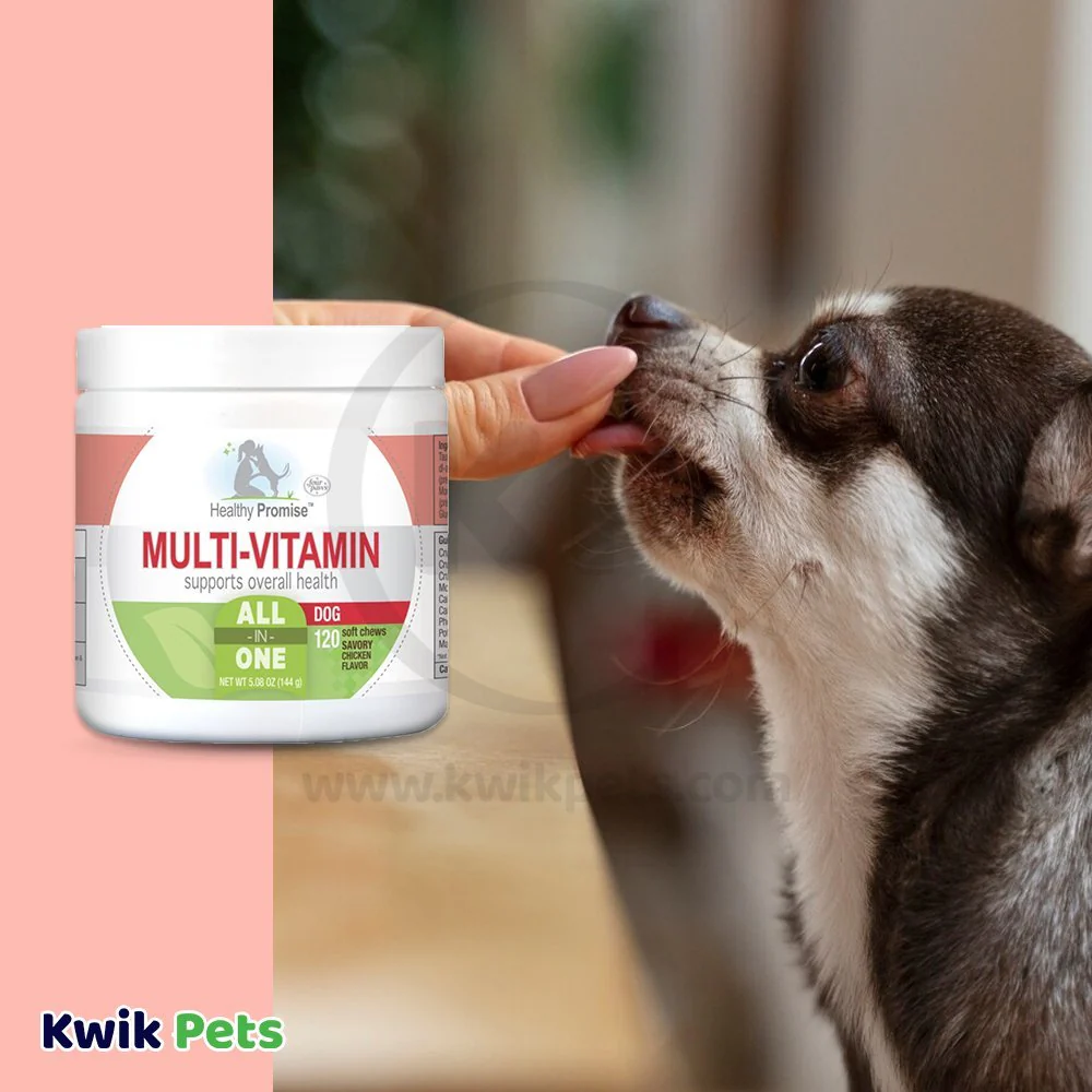 Four Paws Healthy Promise Dog Multi-Vitamins Soft Chews Savory Chicken 120 Count 5.08-oz - Image 7
