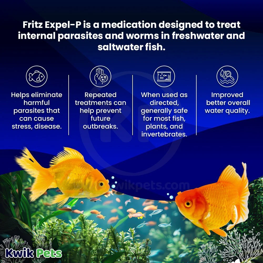 Fritz Expel-P Parasitic Treatment for Freshwater & Saltwater Aquarium Fish 20 Count - Image 3