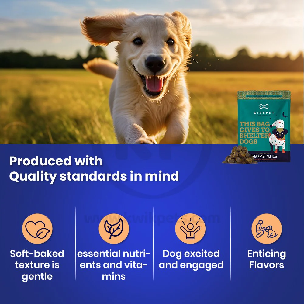 Givepet Breakfast All Day Grain-Free Premium Dog Treats Bacon Egg & Orange 11-oz - Image 4