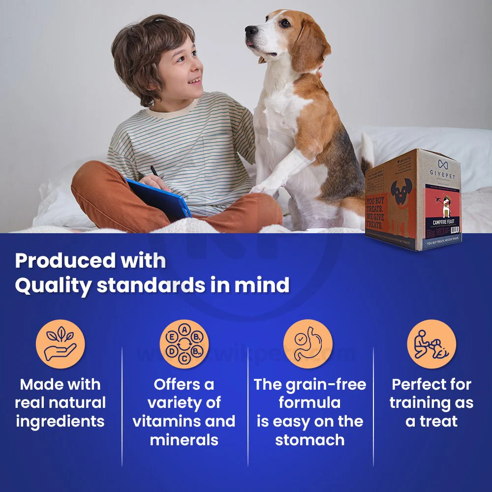 Givepet Campfire Feast Grain-Free Premium Dog Treats Salmon Sweet Potato & Blueberry 9.5-lb Bulk - Image 3