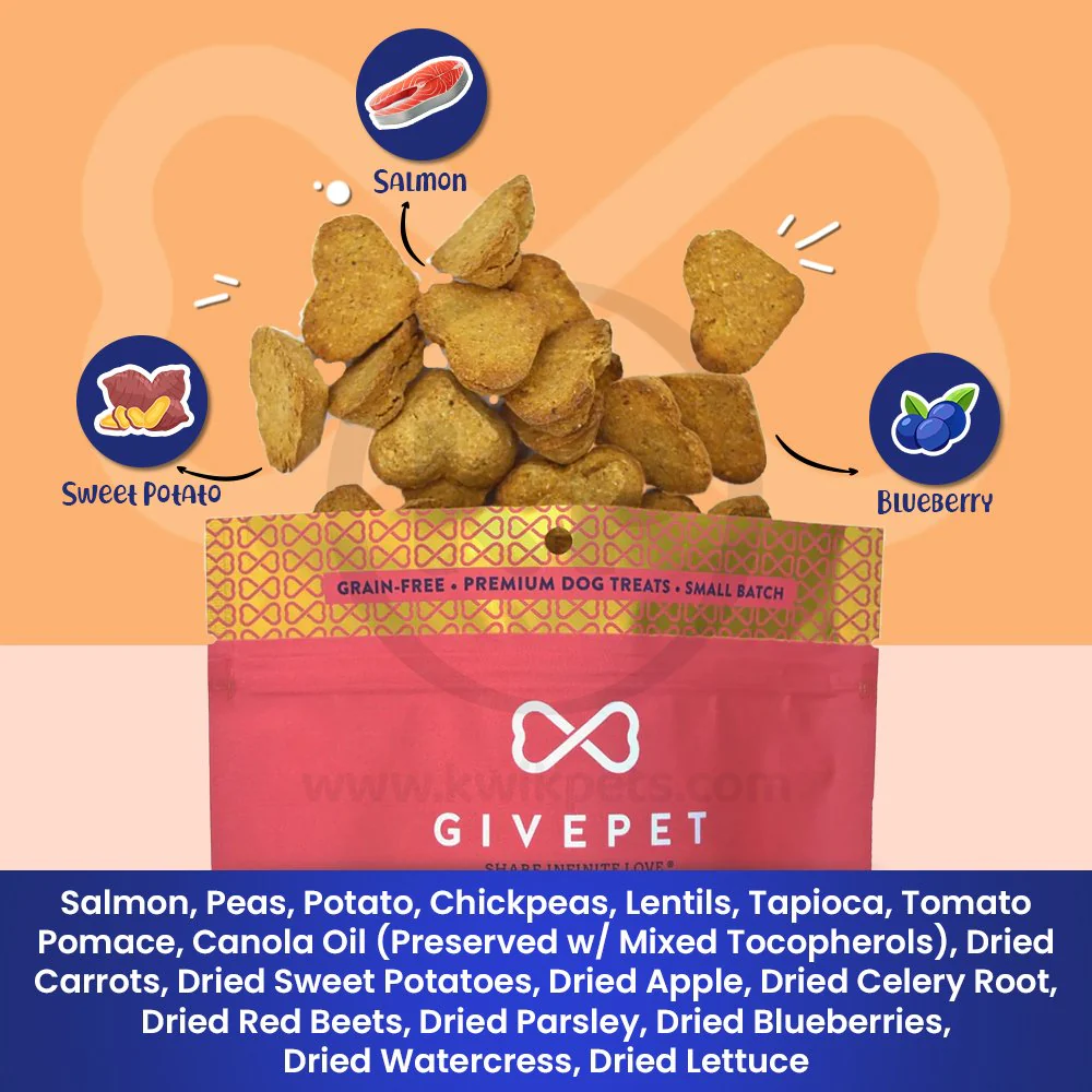 Givepet Campfire Feast Grain-Free Premium Dog Treats Salmon Sweet Potato & Blueberry 9.5-lb Bulk - Image 4