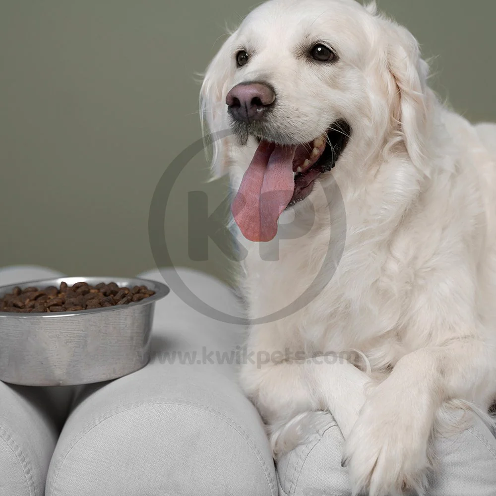 Givepet Campfire Feast Grain-Free Premium Dog Treats Salmon Sweet Potato & Blueberry 9.5-lb Bulk - Image 6