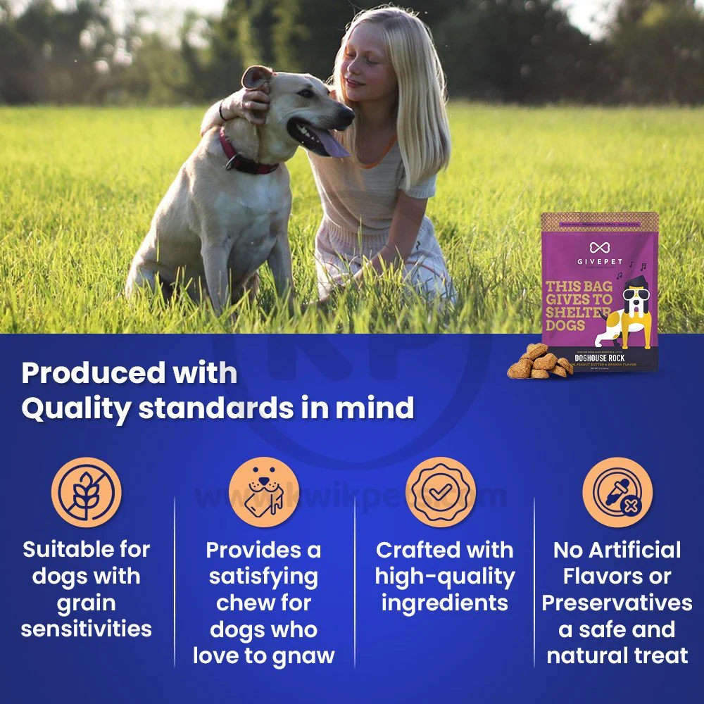 Givepet Dog House Rock Grain-Free Premium Dog Treats Bacon Peanut Butter & Banana 11-oz - Image 3