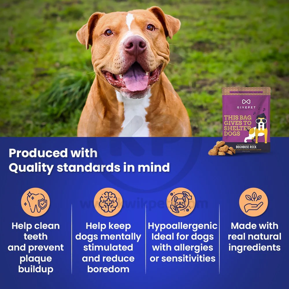 Givepet Dog House Rock Grain-Free Premium Dog Treats Bacon Peanut Butter & Banana 11-oz - Image 4