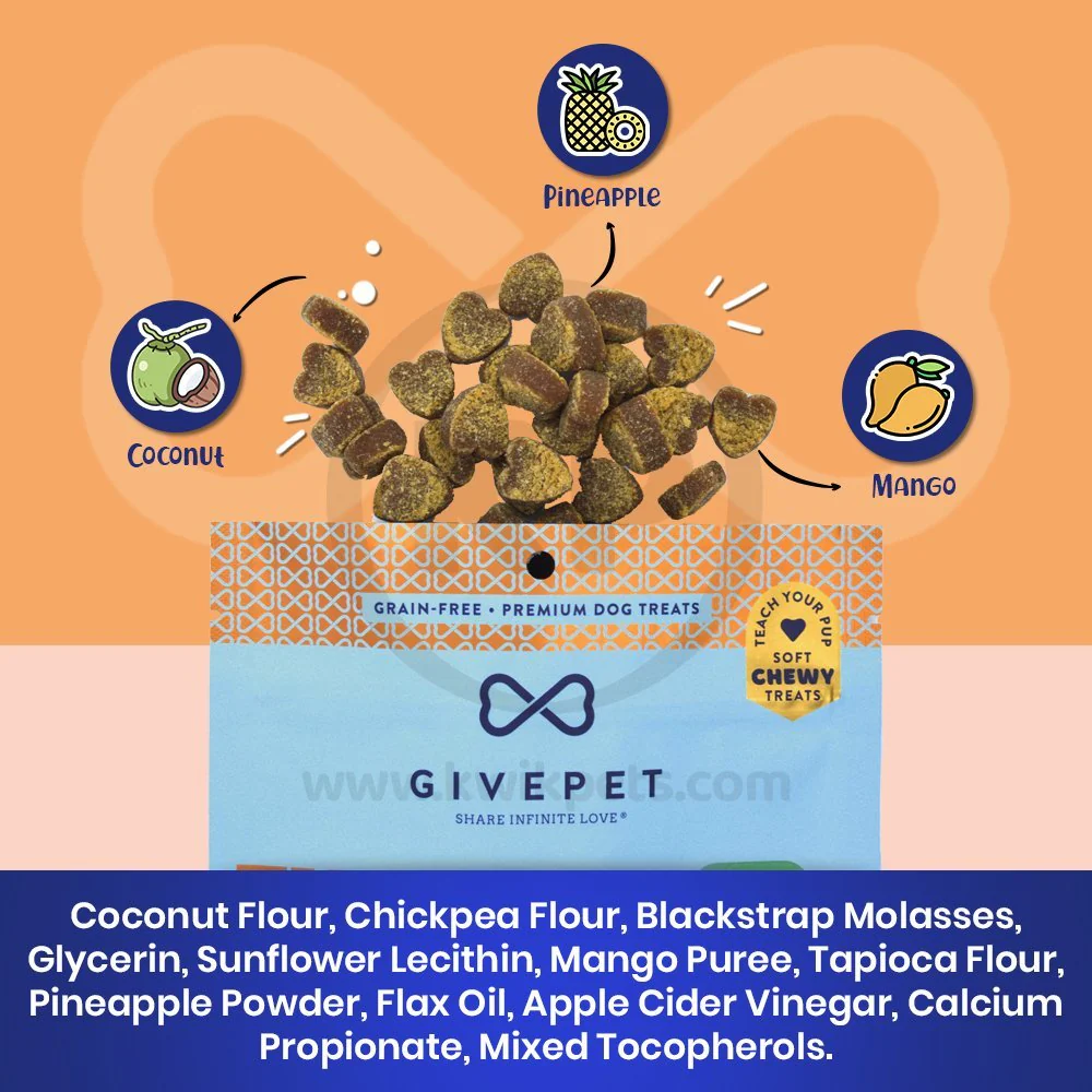 Givepet Doggy Paddle Grain-Free Premium Soft Chewy Dog Treats Coconut, Mango & Pineapple 6-oz - Image 2