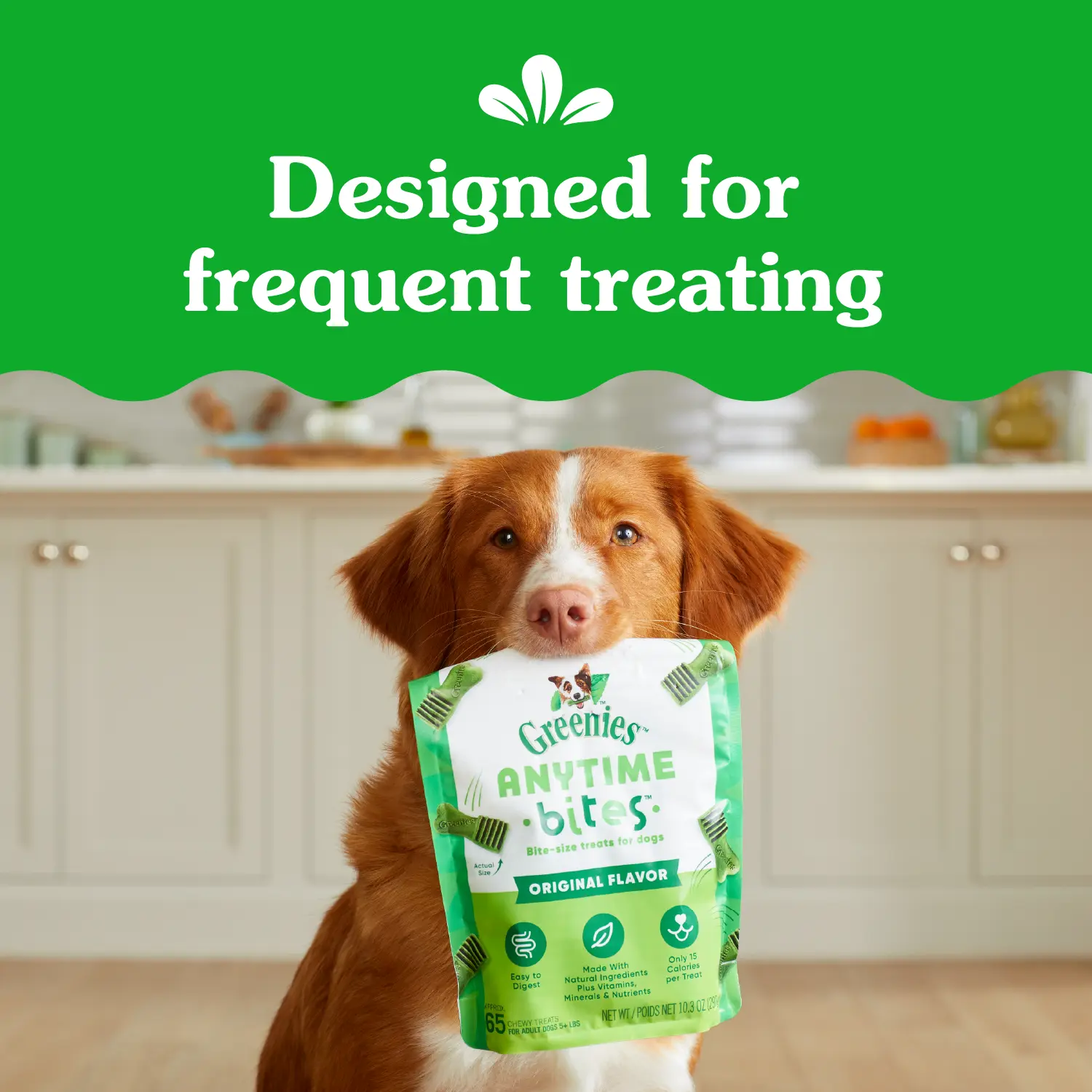 Greenies Anytime Bites Bite-Size Dog Dental Treats Original 10.3-oz - Image 9
