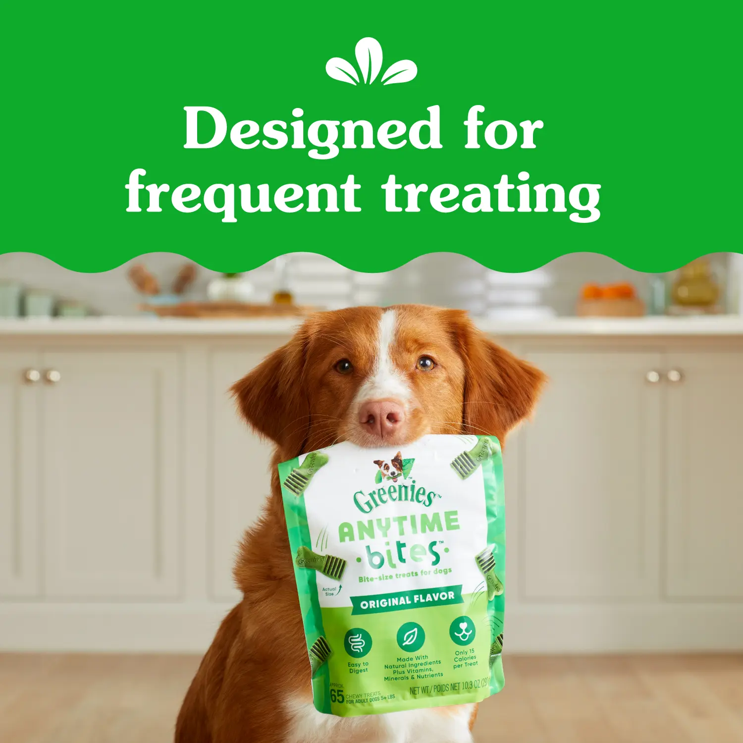 Greenies Anytime Bites Bite-Size Dog Dental Treats Mint 10.3-oz - Image 9