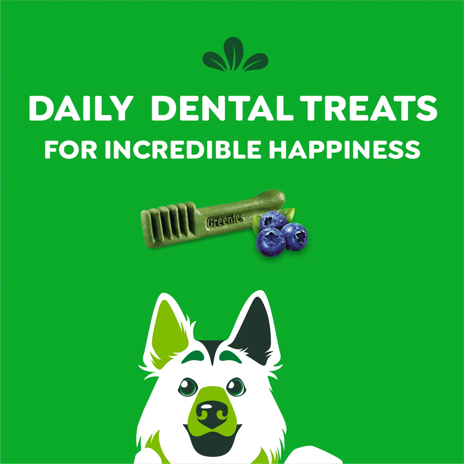 Greenies Blueberry Dog Dental Treats Large 12-oz 8 Count - Image 4