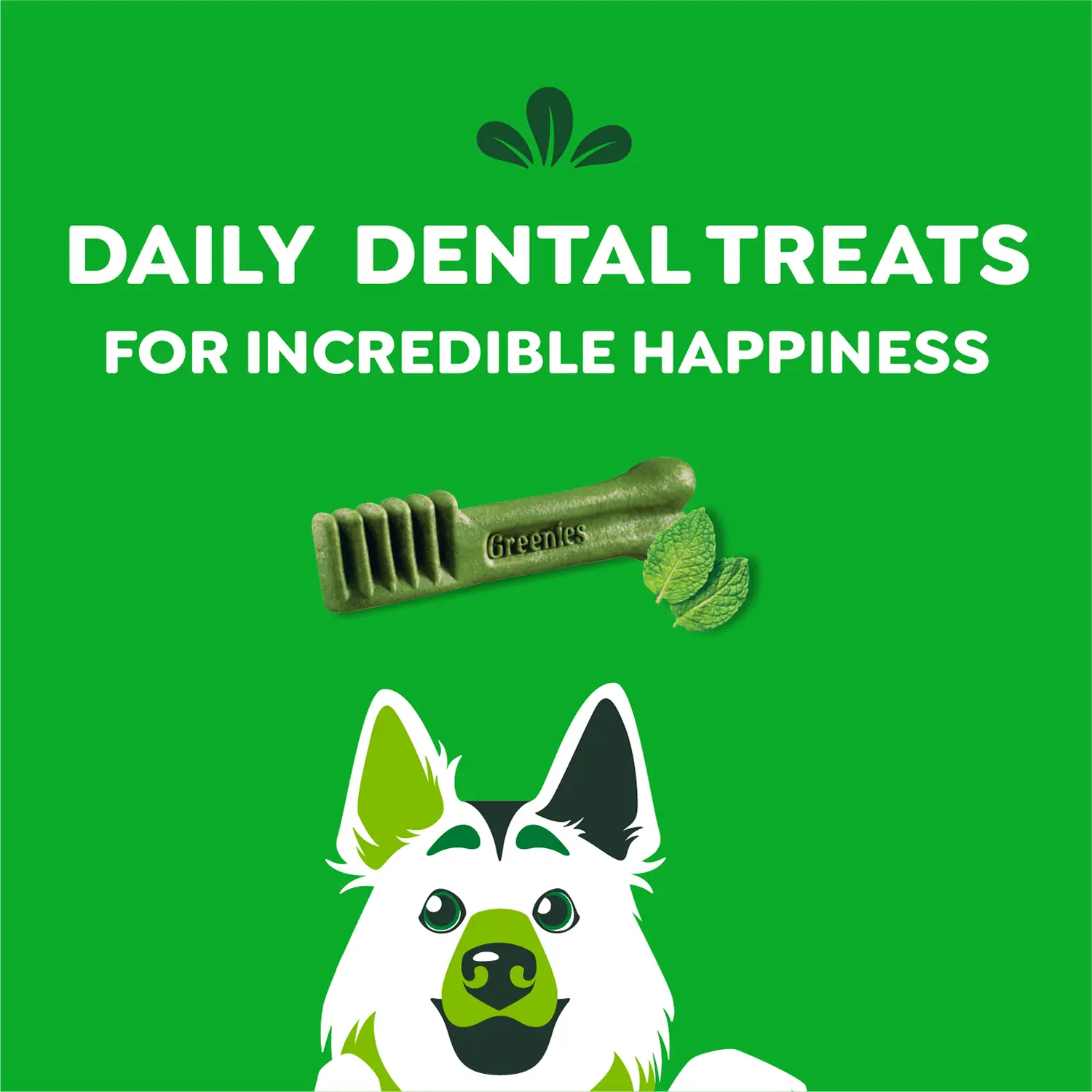 Greenies Fresh Dog Dental Treats Large 12-oz 8 Count - Image 4