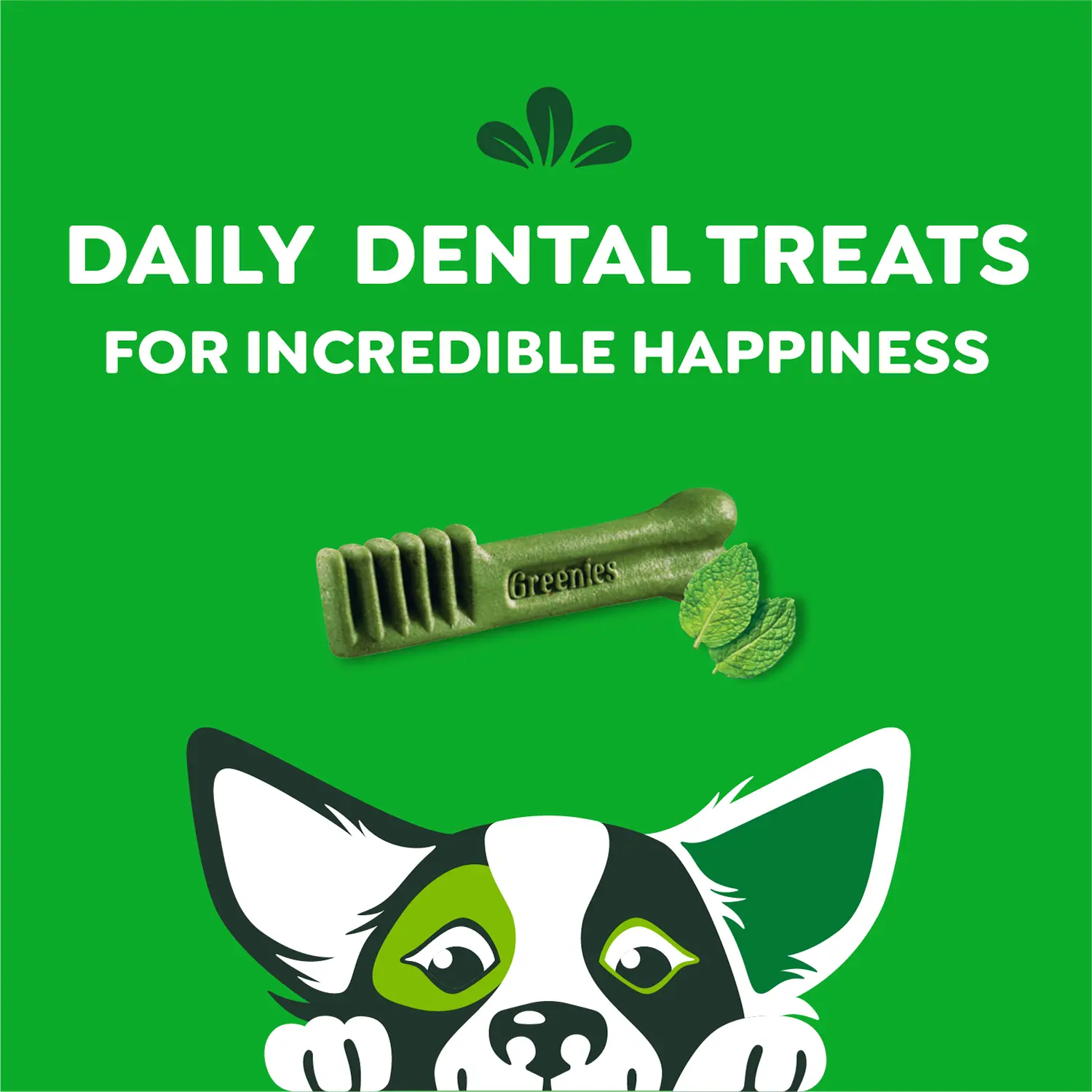 Greenies Fresh Dog Dental Treats Petite 12-oz 20 Count - Image 4