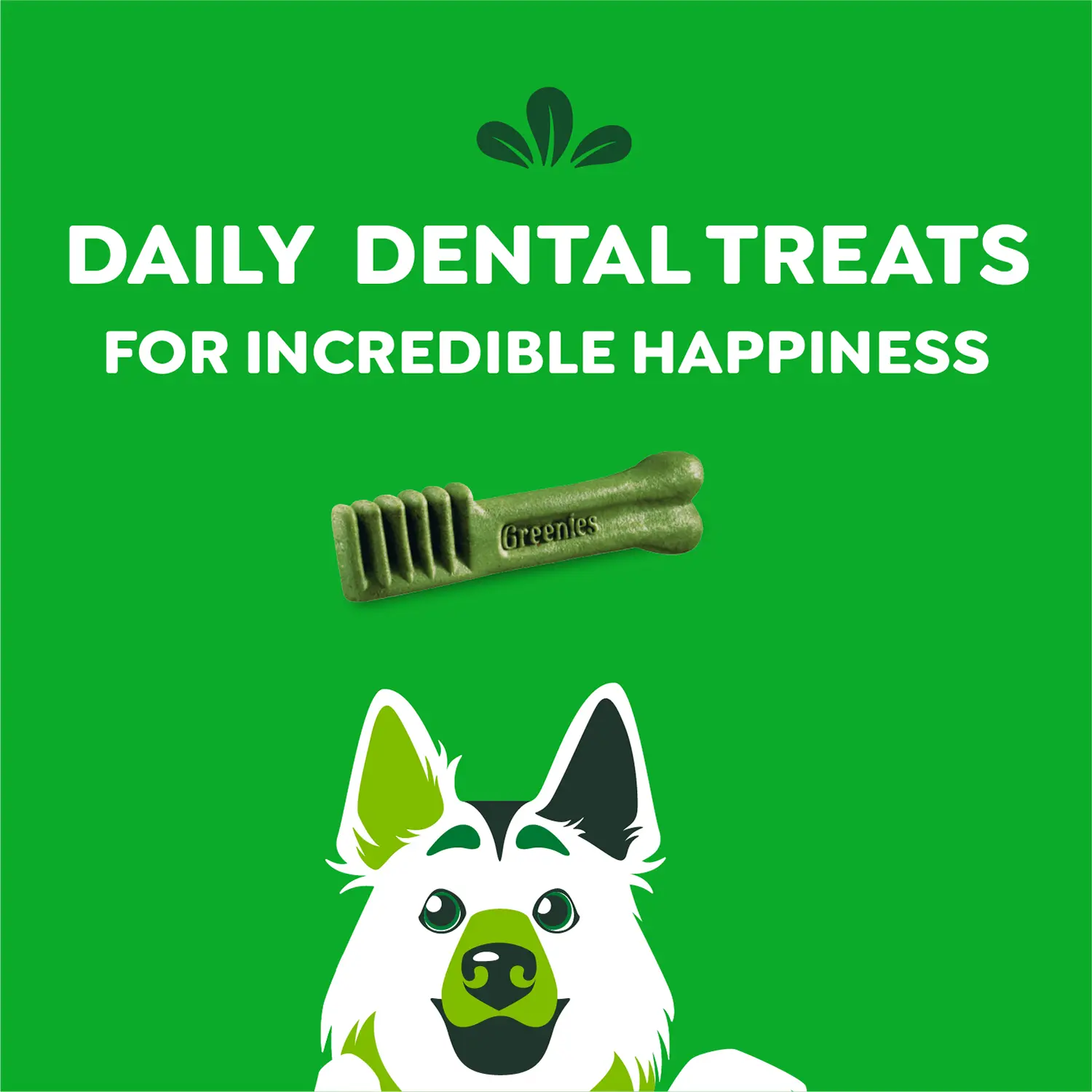Greenies Original Dog Dental Treats Large 12-oz 8 Count - Image 4